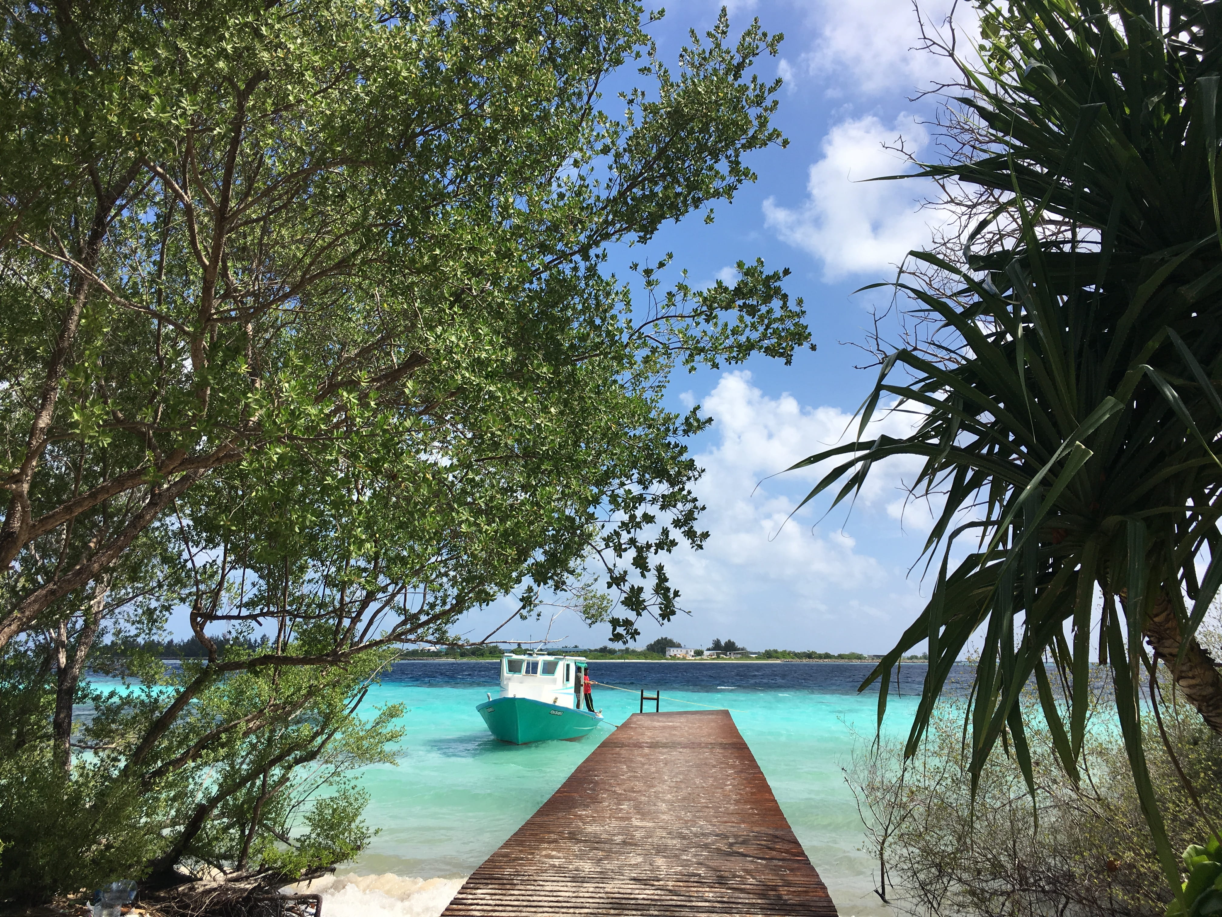 plant, day, tranquil scene, aa hinnavaru magu, transportation, water, sea, mode of transportation, 4K, scenics - nature, hinnavaru, cloud - sky, maldives, HD Wallpaper