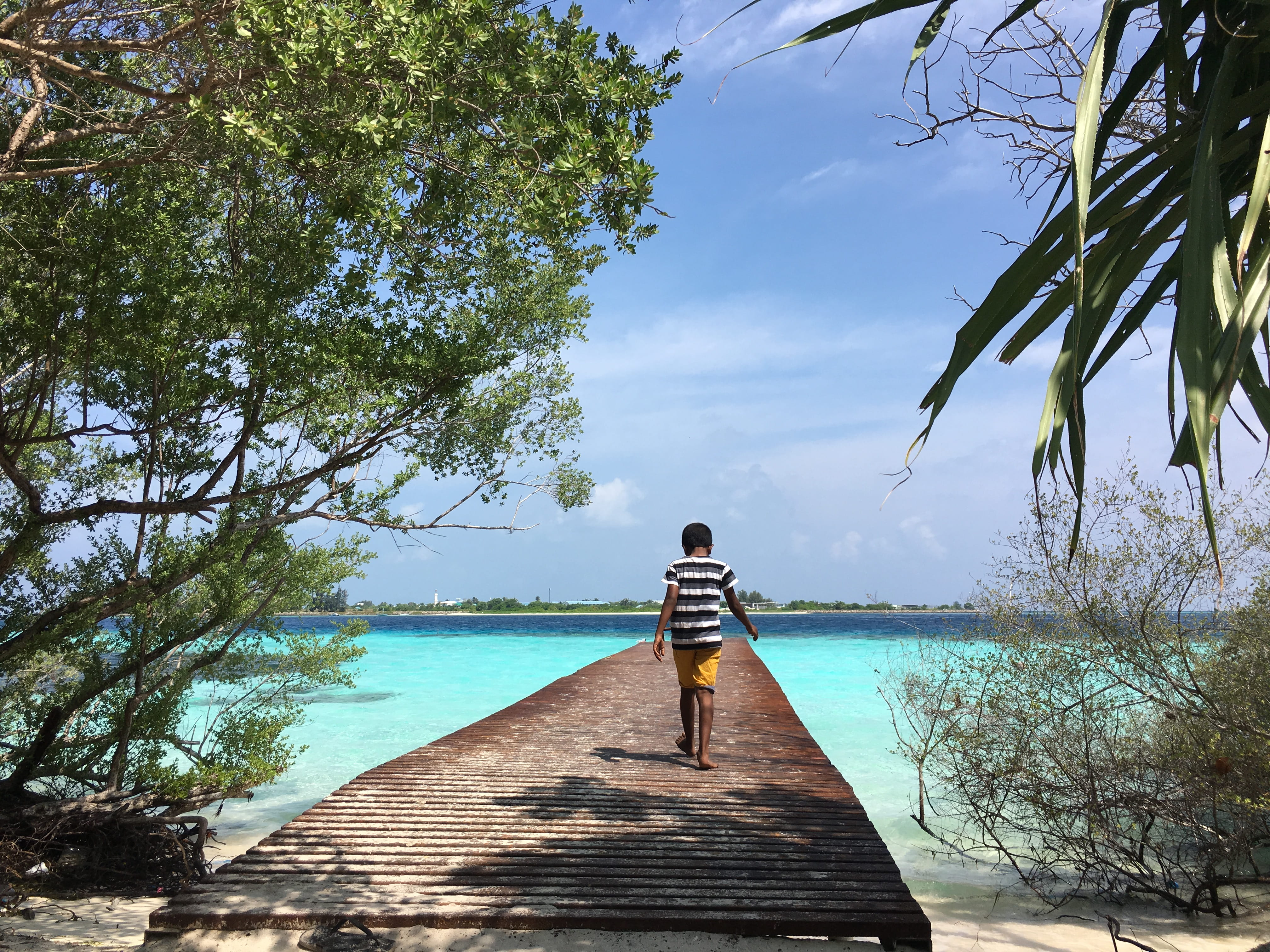 maldives, plant, water, outdoors, nature, direction, full length, tree, sky, aa hinnavaru magu, lifestyles, casual clothing, day, pier, rear view, 4K, HD Wallpaper