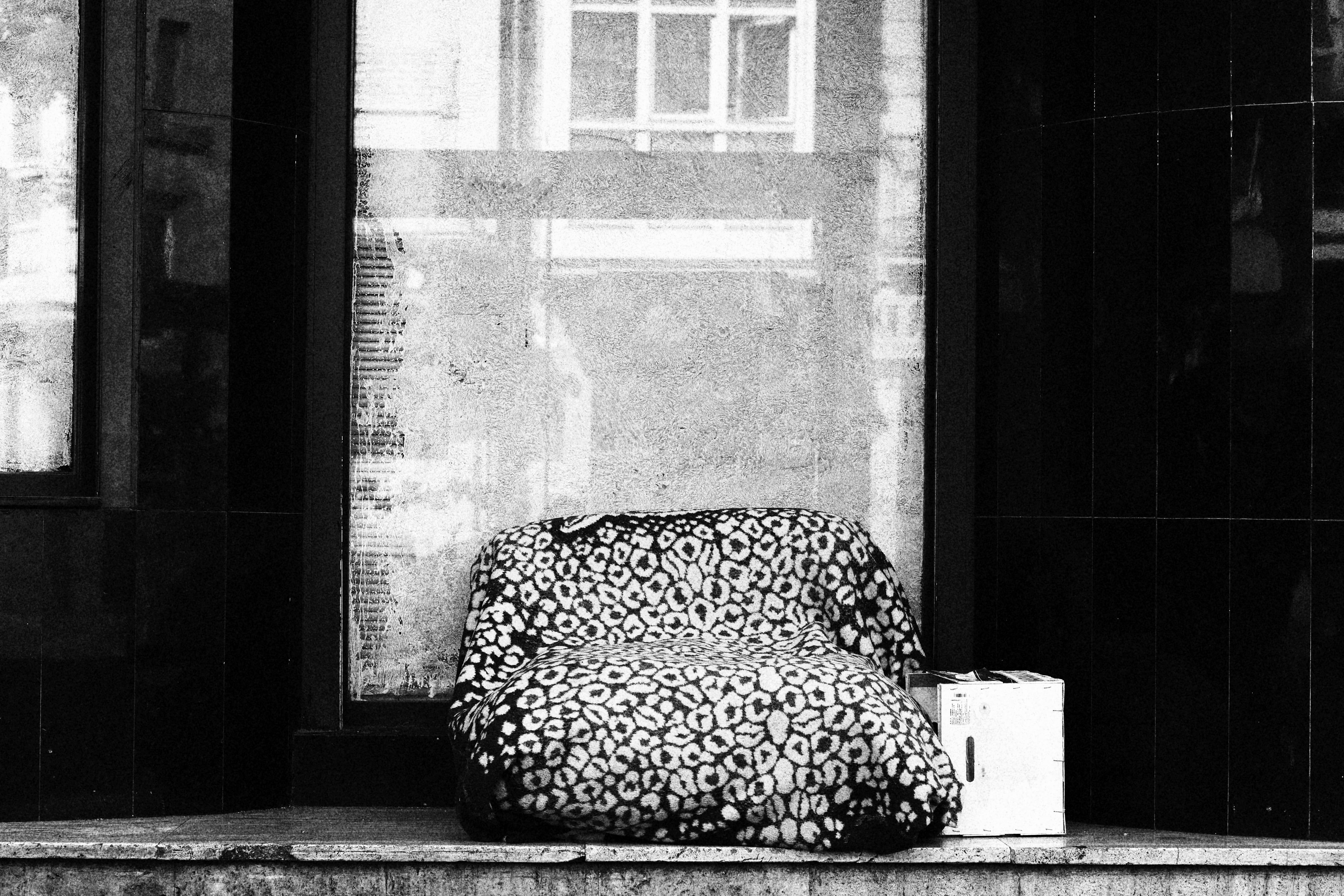 no people, home interior, ., cat, animal themes, blackandwhite, vitoria, entrance, someones home, moment, domestic animals, mammal, window, 5K, capture, HD Wallpaper