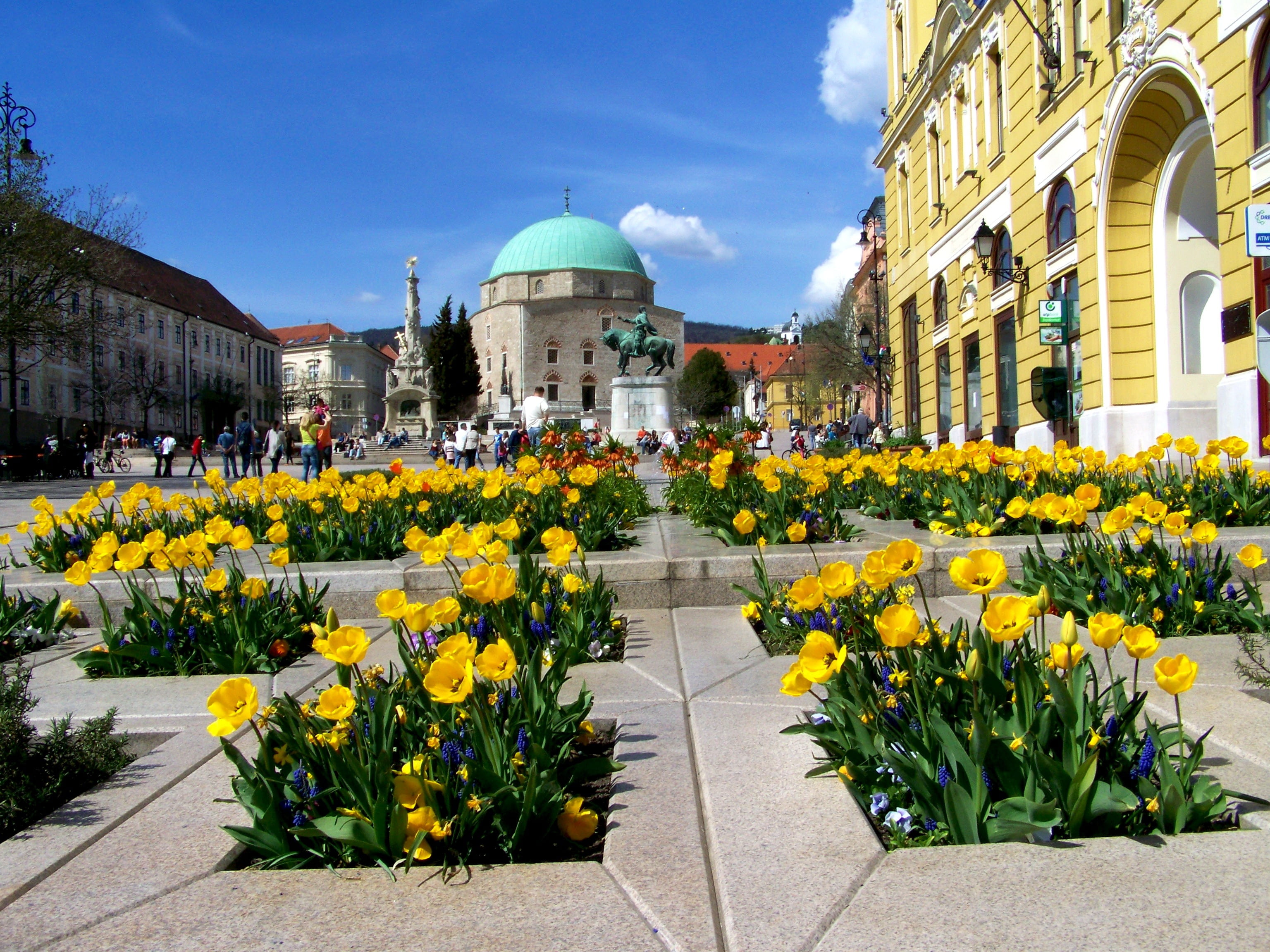 dome, building, springtime, nature, growth, ornamental garden, building exterior, travel destinations, flower head, yellow, flower, yellow tulip bed, 2K, HD Wallpaper