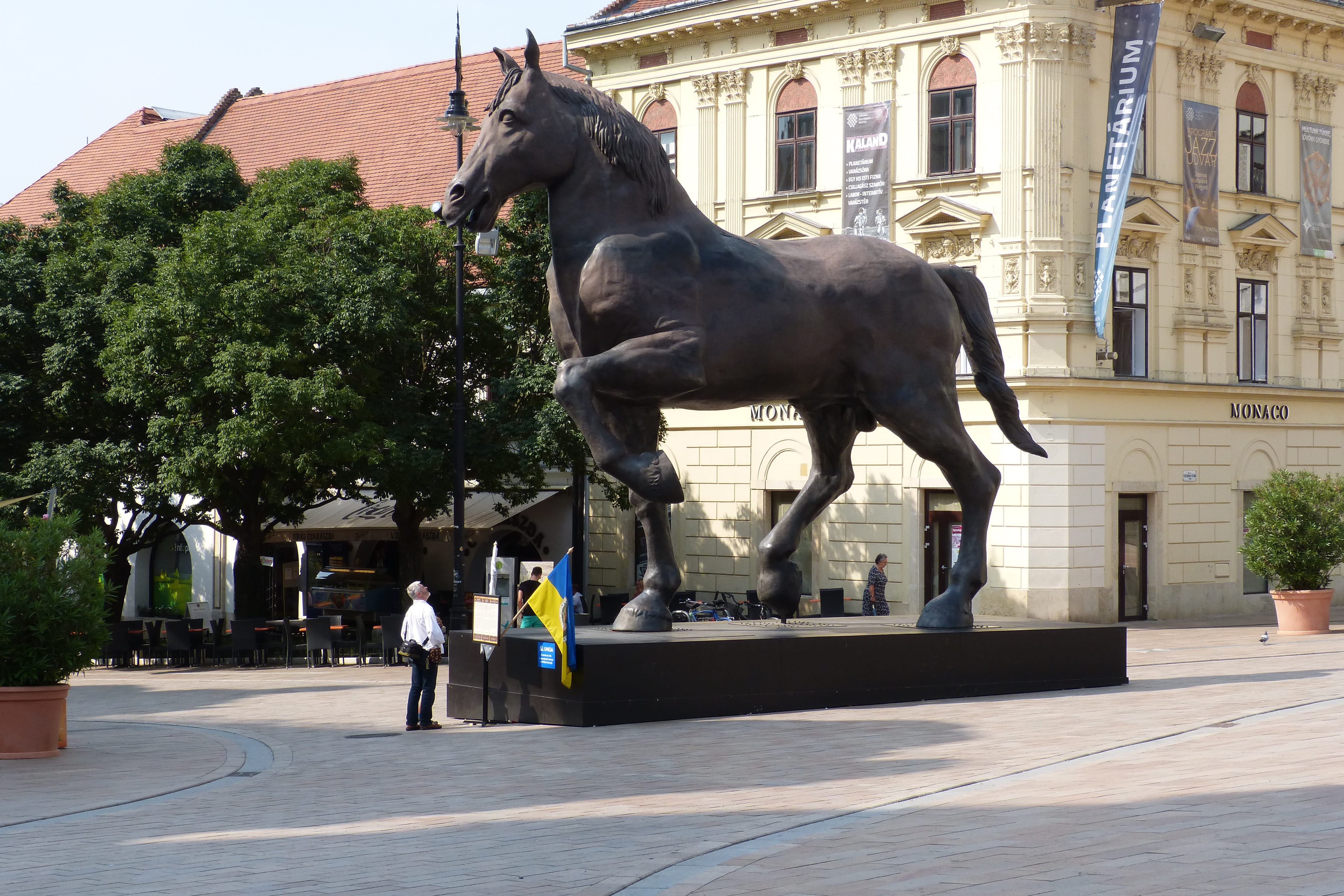 outdoors, statue, day, square, monument, looking at, domestic animals, building exterior, mammal, pecs, symbol, herbivorous, architecture, incidental people, HD Wallpaper