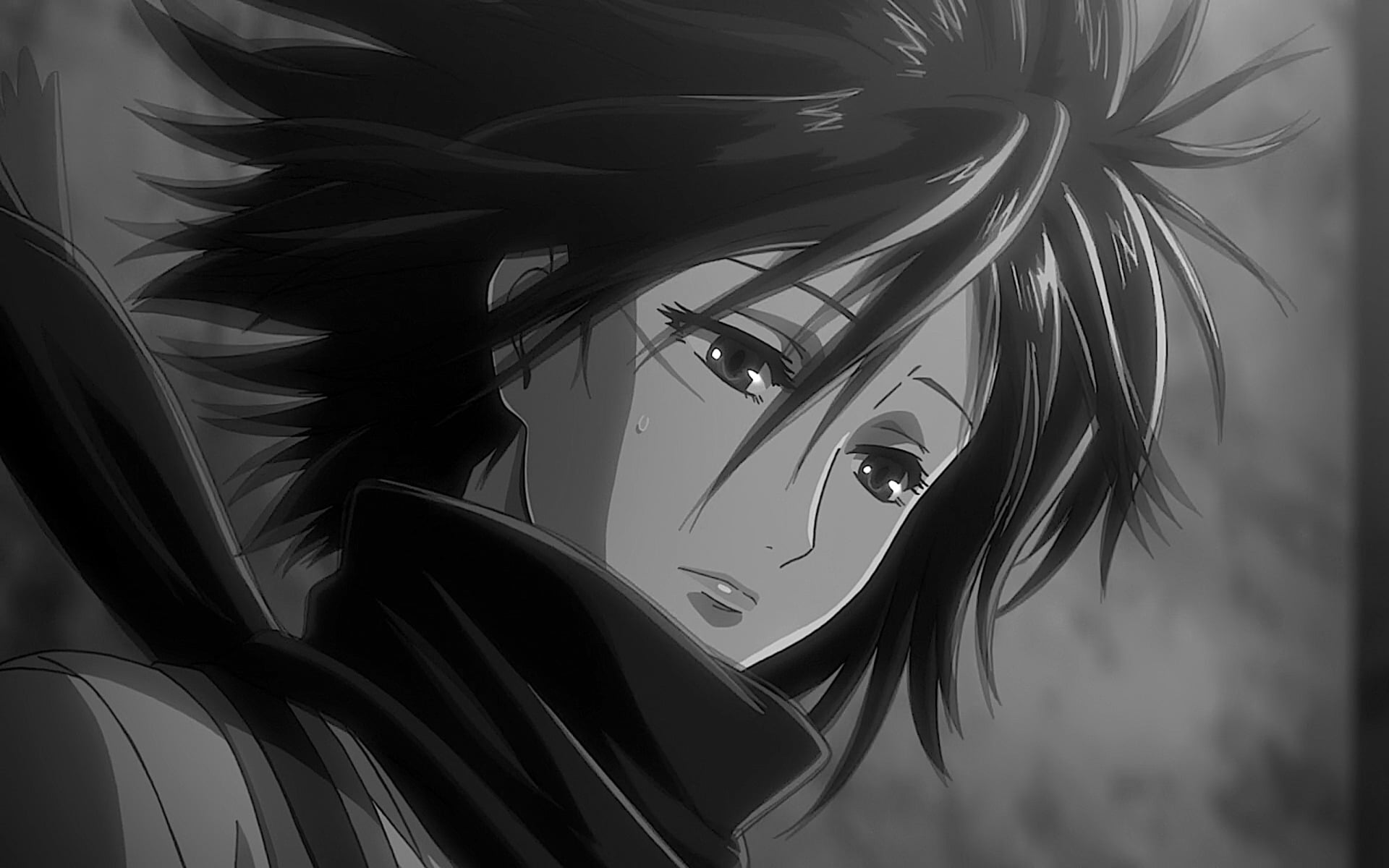 car, long hair, day, land vehicle, hairstyle, Anime, Black and White, 1080P, close-up, outdoors, Shingeki No Kyojin, motor vehicle, nature, hair, Mikasa Ackerman, HD Wallpaper