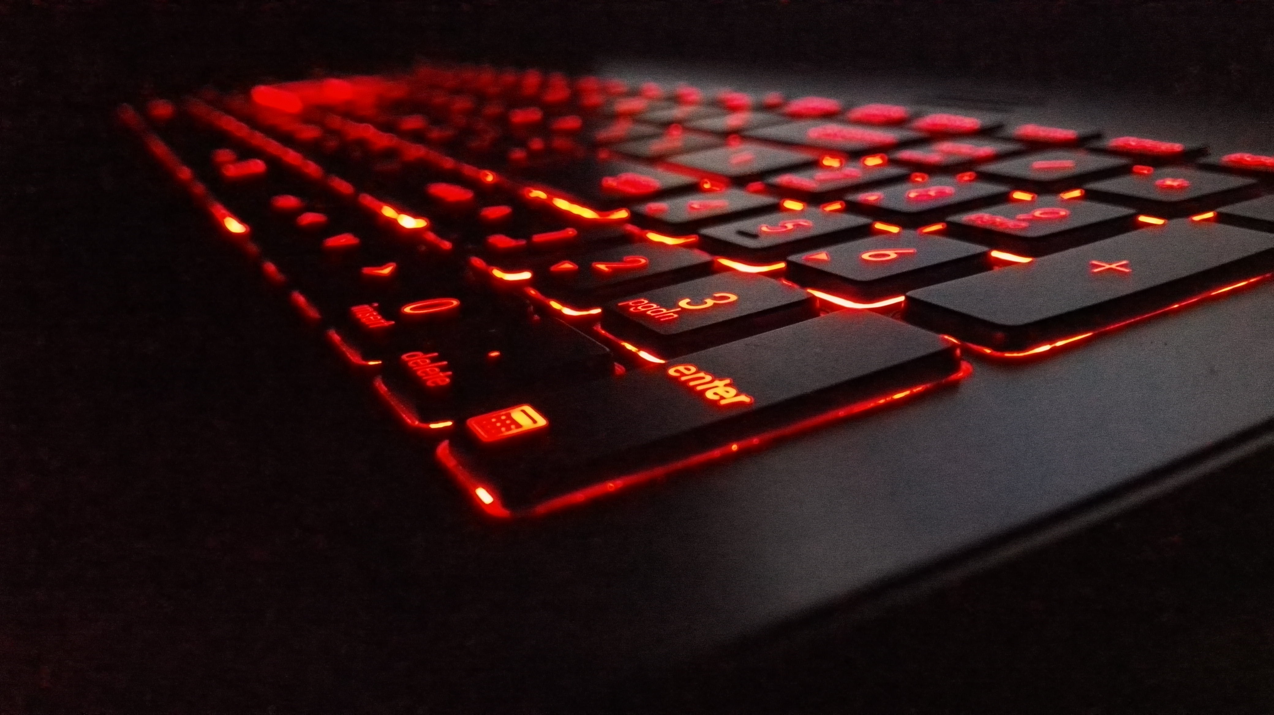photobomb, 4K, keyboards, HD Wallpaper