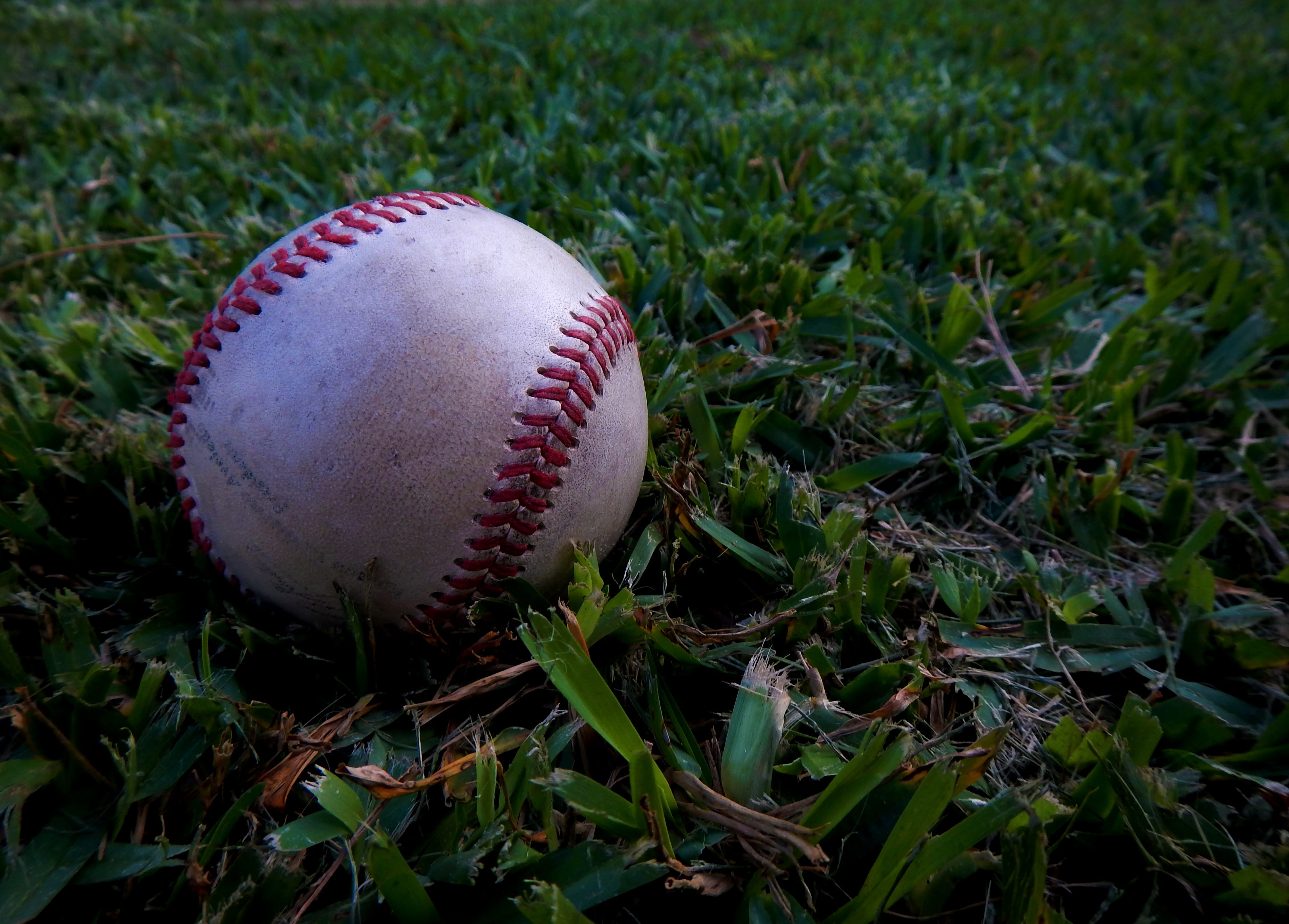 nature, ball, close-up, day, no people, focus on foreground, team sport, single object, sphere, white, land, major league, league, season, plant, balloon, HD Wallpaper