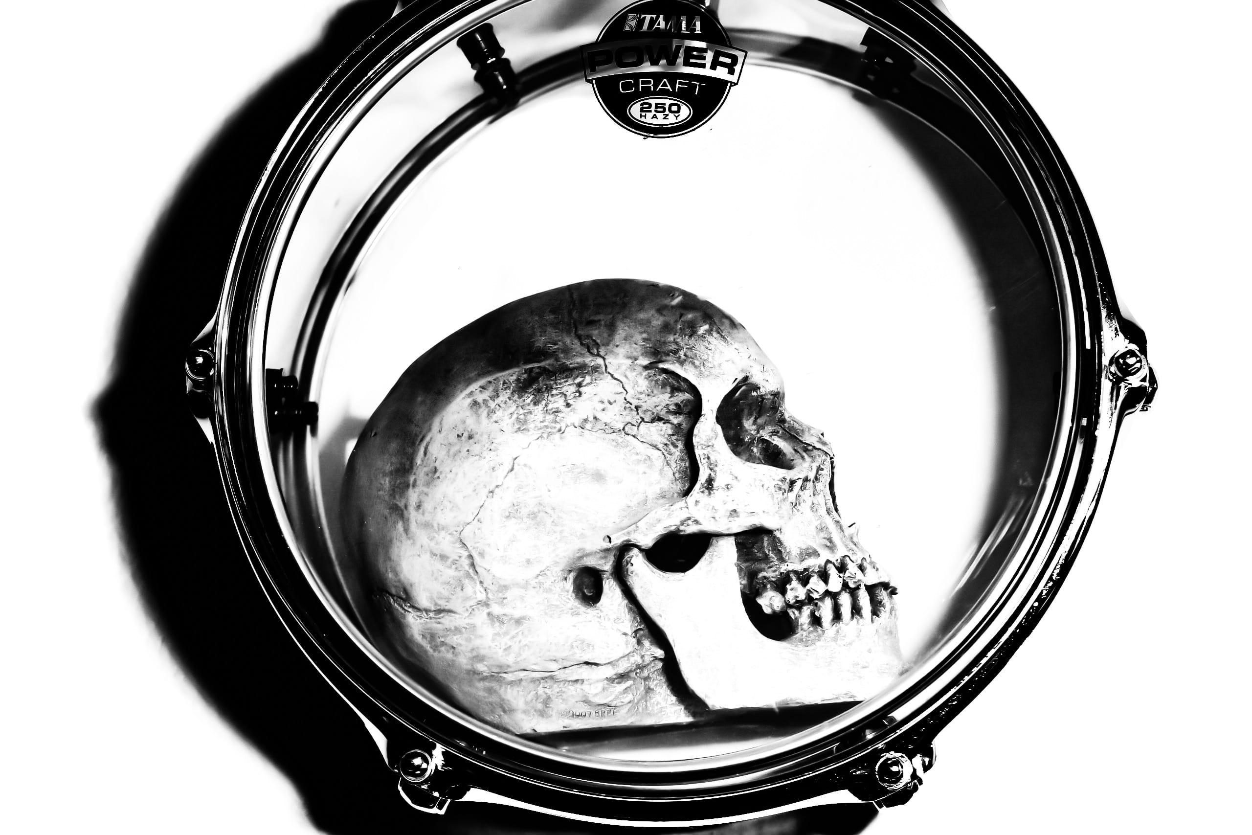 2K, human skeleton, shape, Drum, skeleton, white background, close-up, body part, circle, Black And White, single object, geometric shape, clear, reflection, HD Wallpaper