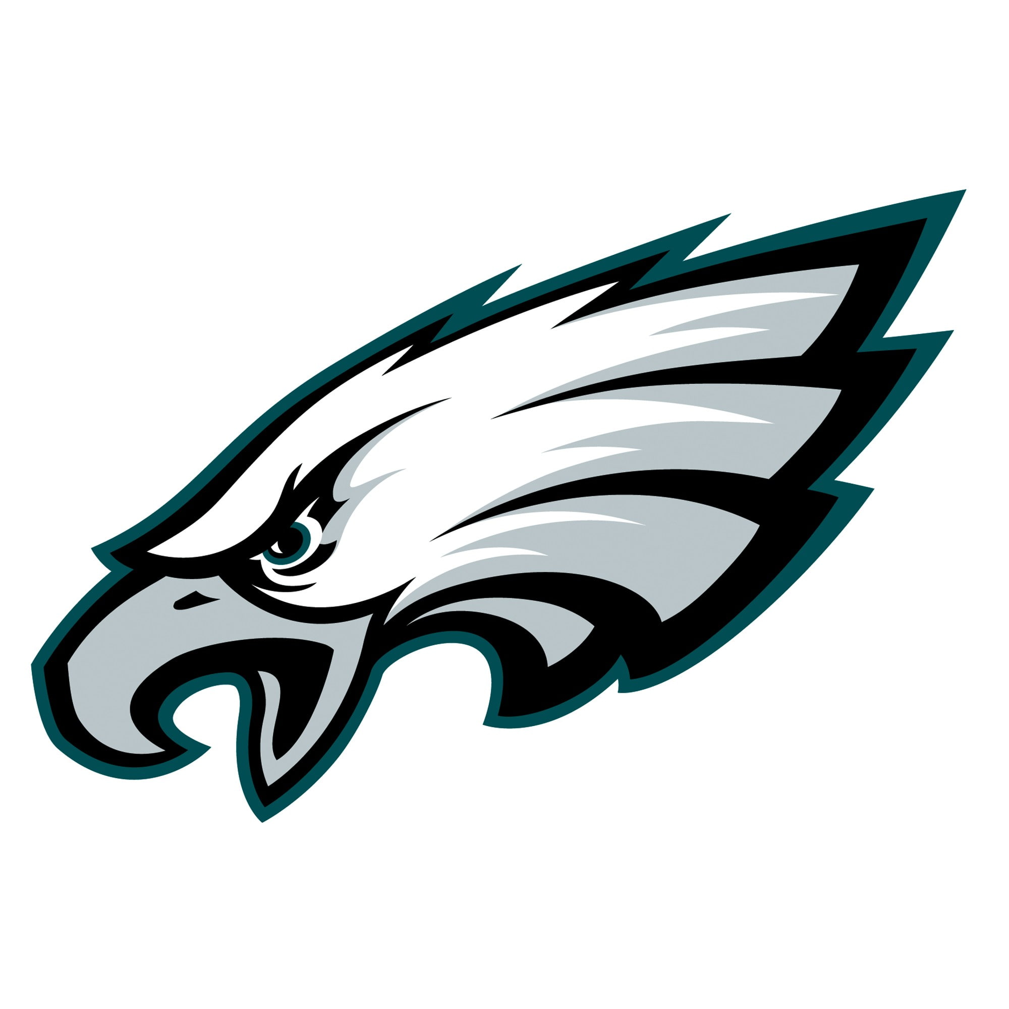 Philadelphia Eagles, Logotype, nfl, eagle, city, 1080P, American Football, Phone HD Wallpaper