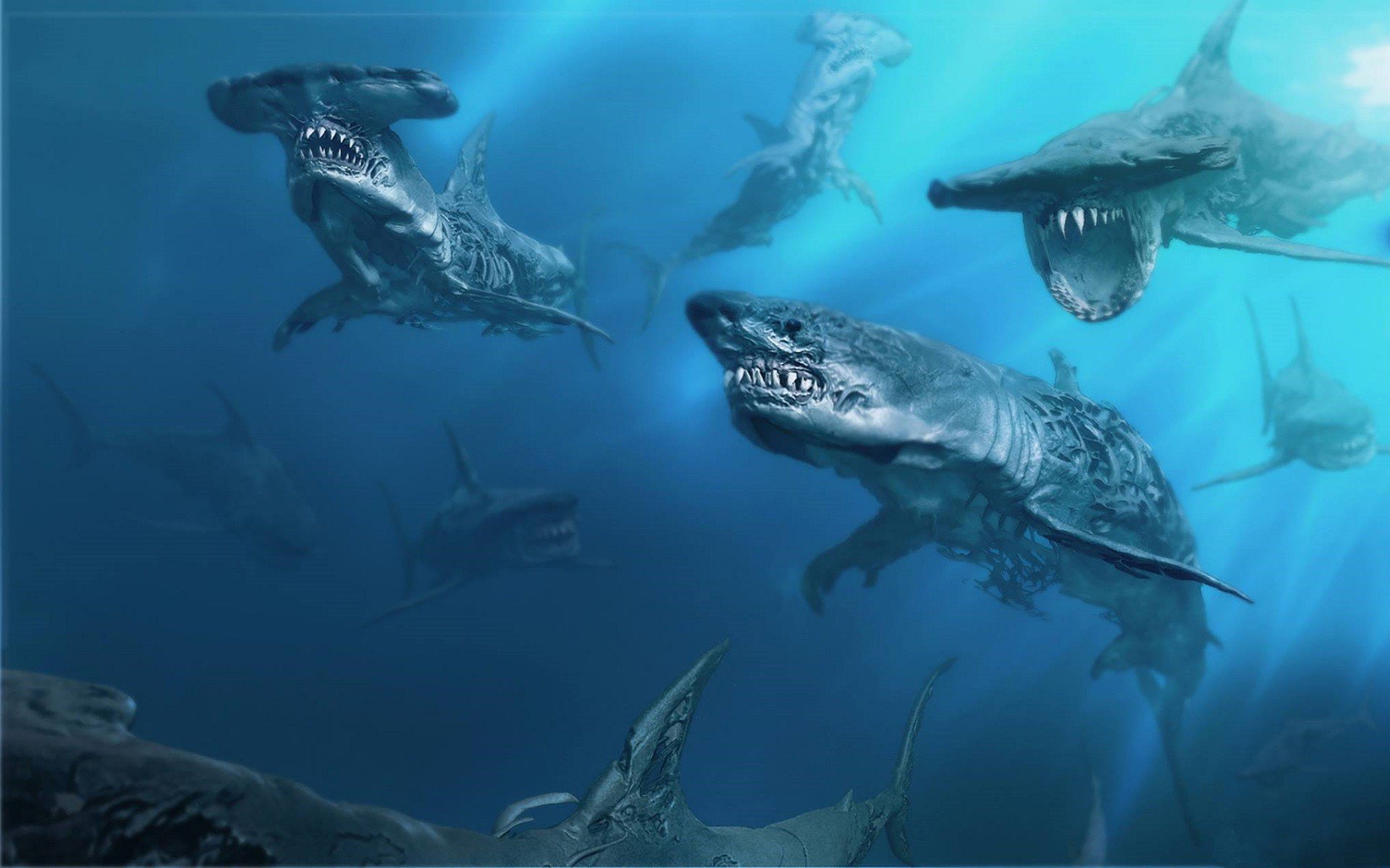 animal themes, aquarium, animal wildlife, animals in the wild, tank, no people, nature, pirates of the caribbean dead men tell no tales shark movies animals sea underwater artwork concept art ghost ghosts zombies pirates of the caribbean, HD Wallpaper