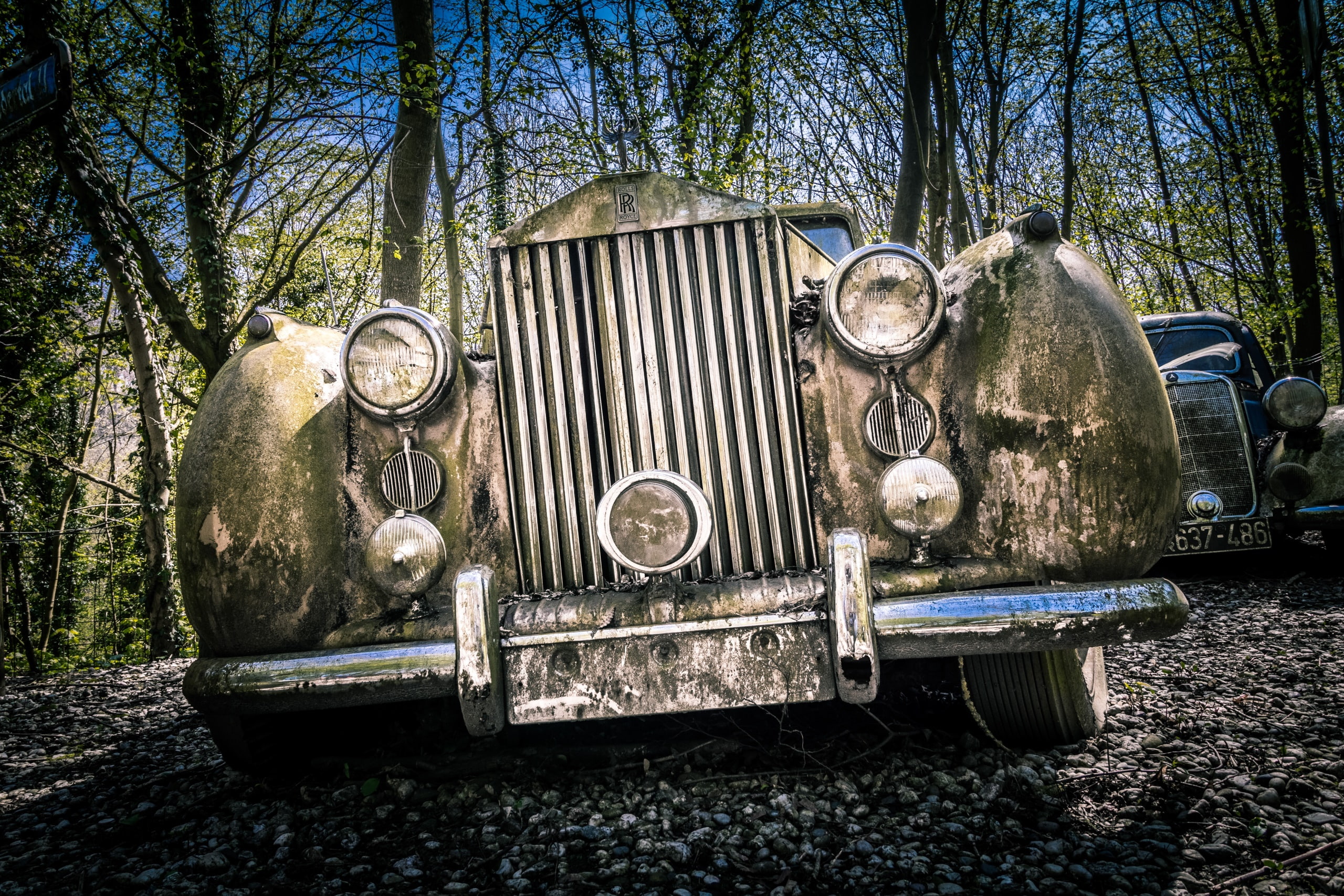 ruined, obsolete, plant, old, car, abandoned, metal, Oldtimer, land, mode of transportation, no people, tree, deterioration, outdoors, bad condition, 2K, HD Wallpaper