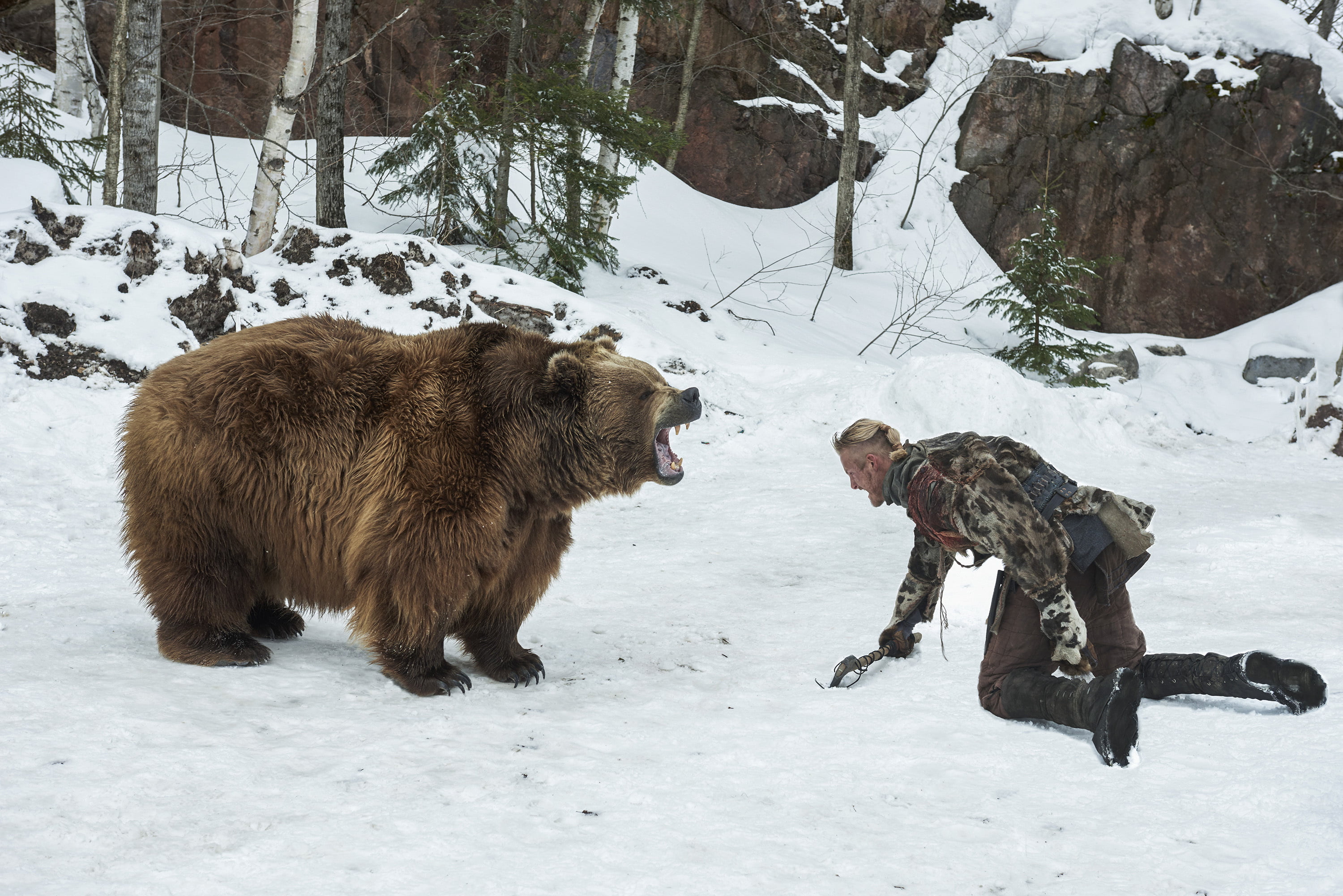 full length, 2K, day, land, mammal, bear, Vikings, warm clothing, The Vikings, covering, snowing, winter, snow, beauty in nature, cold temperature, Bjorn, HD Wallpaper