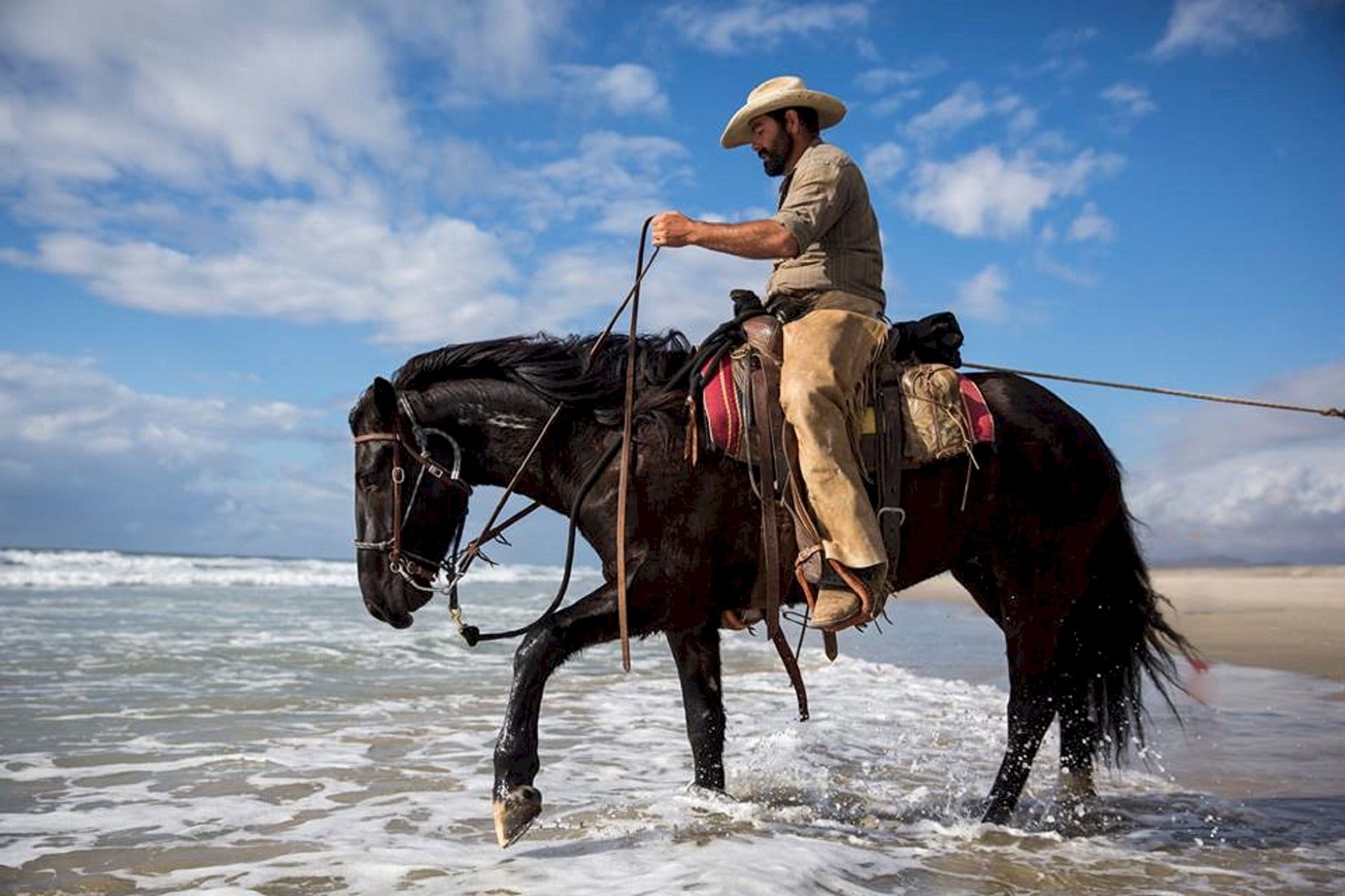 rider, outdoors, beach, cloud - sky, cross country, mammal, domestic, usa, livestock, equestrian, full length, one person, one animal, activity, daytime, HD Wallpaper