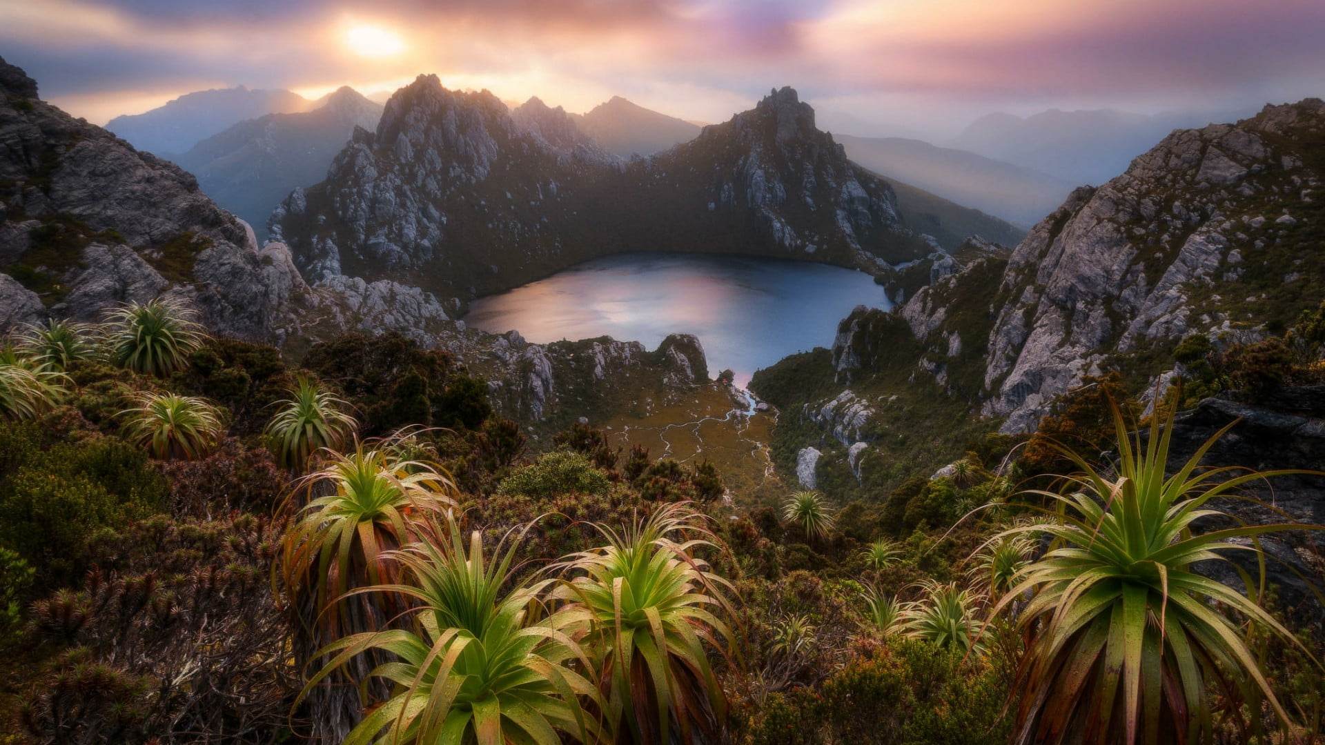 forest, morning, 1080P, plant, land, vegetation, rock, national park, outdoors, tranquil scene, sky, sunset, southwest national park, wilderness, mountain, HD Wallpaper