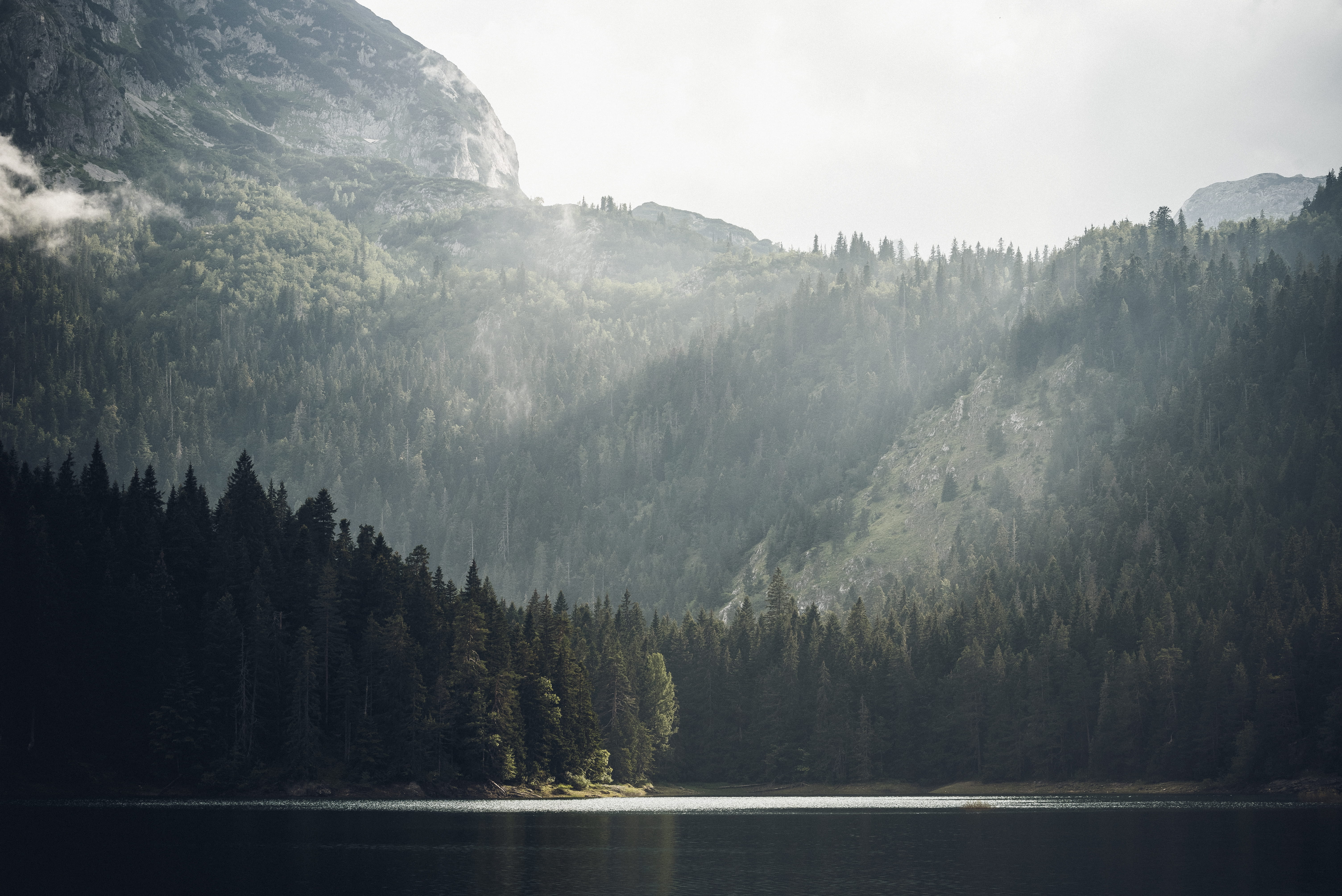 forest, reflection, green Color, hill, green, day, sunlight, river, extreme Terrain, canada, fog, rock - Object, beauty In Nature, mist, wild, tranquil Scene, HD Wallpaper
