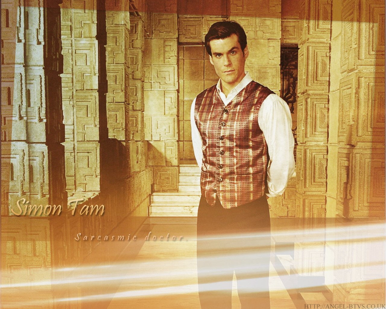 720P, Sean Maher, TV Show, Firefly, Simon Tam, HD Wallpaper
