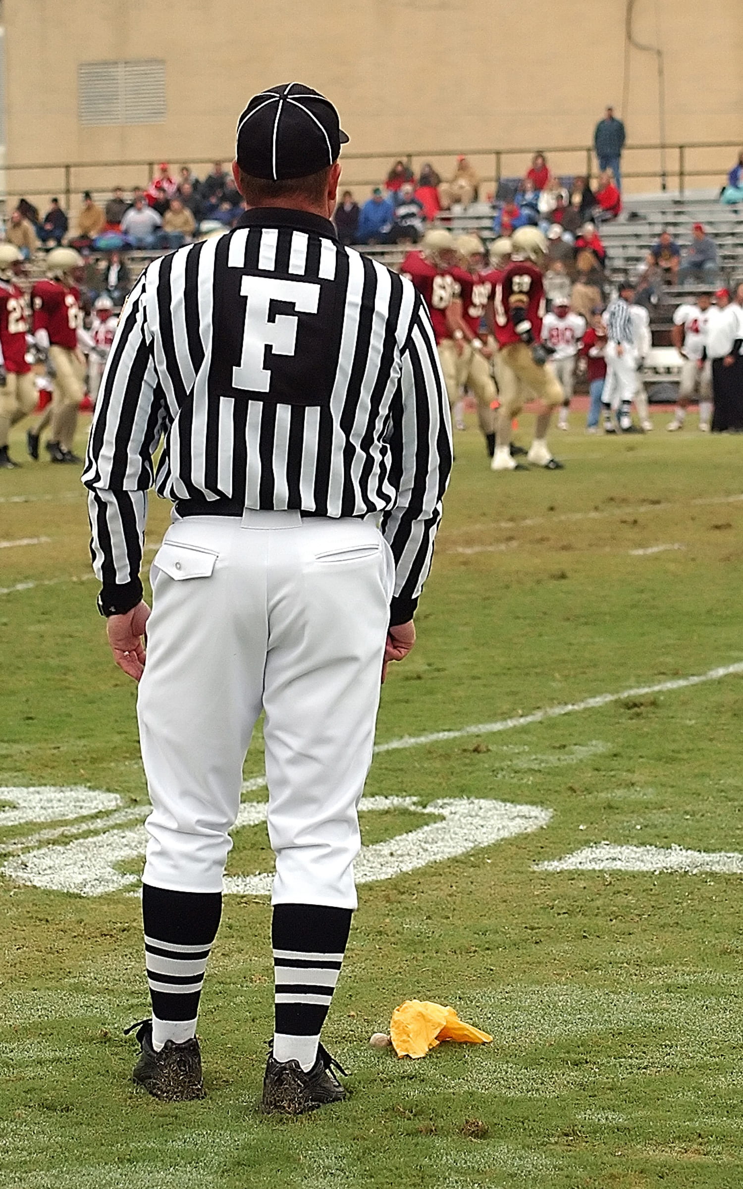 standing, field, striped, people, yellow flag, focus on foreground, 1080P, official, day, full length, game, crowd, rear view, judge, american football, Phone HD Wallpaper