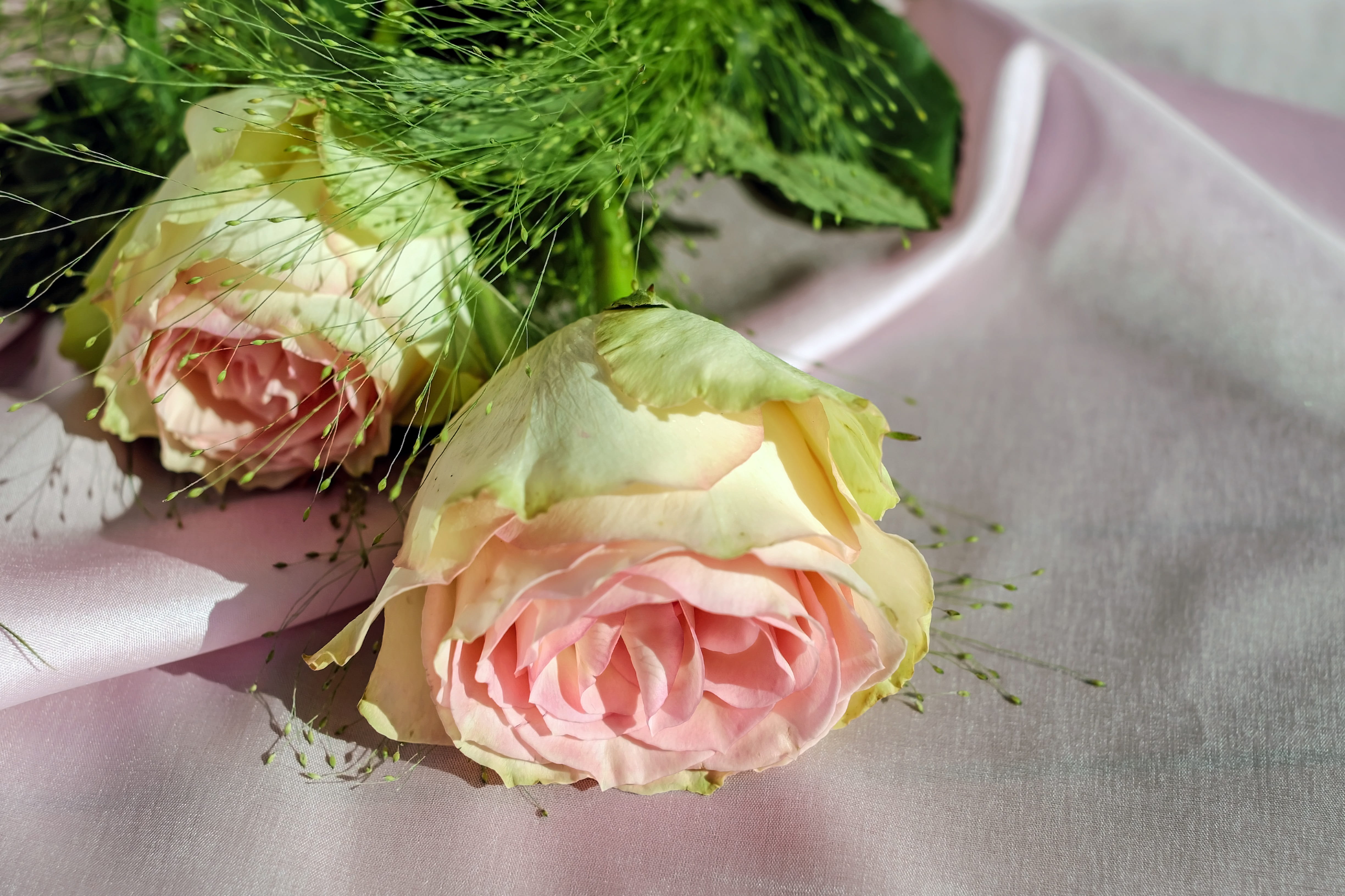 flower arrangement, beauty in nature, plant, close, table, flower, pink color, vegetable, still life, flowers, no people, food and drink, 4K, flower head, HD Wallpaper