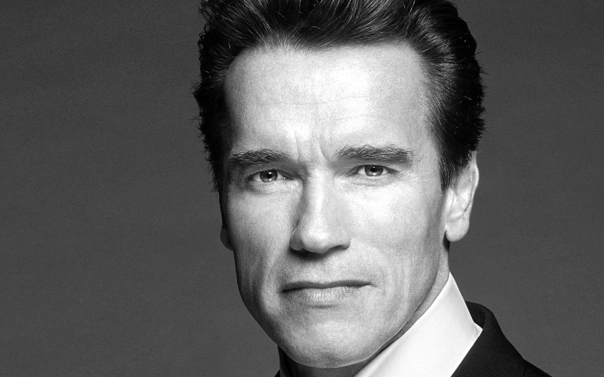 facial Expression, serious, suit, human Head, elegance, portrait, formalwear, gray background, male Beauty, fashion, Arnold Schwarzenegger, human body part, HD Wallpaper