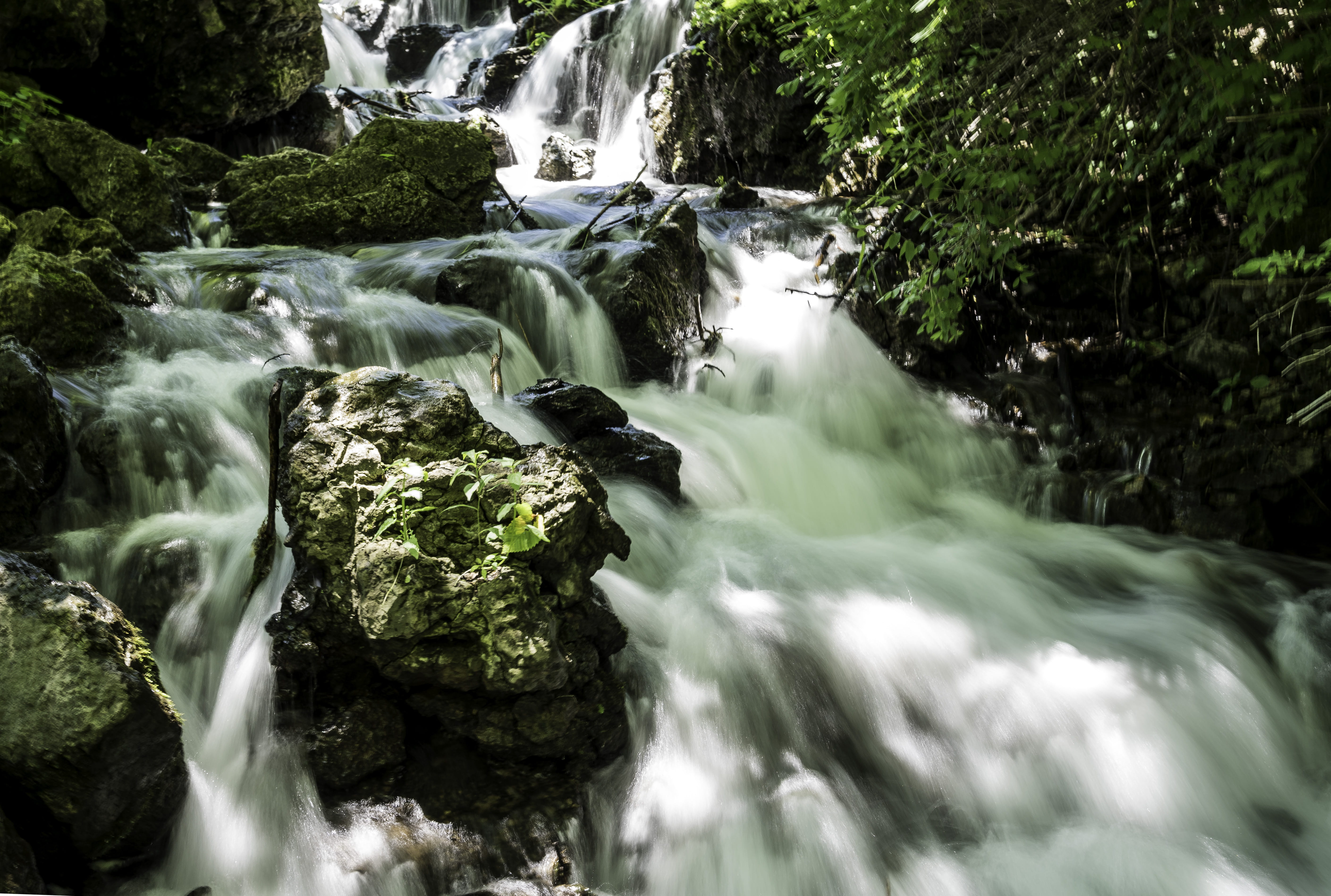 governor, freshness, blurred Motion, flowing Water, falling, no people, outdoors, rapids, wet, plant, scenics, rock - Object, tree, water, beauty In Nature, HD Wallpaper