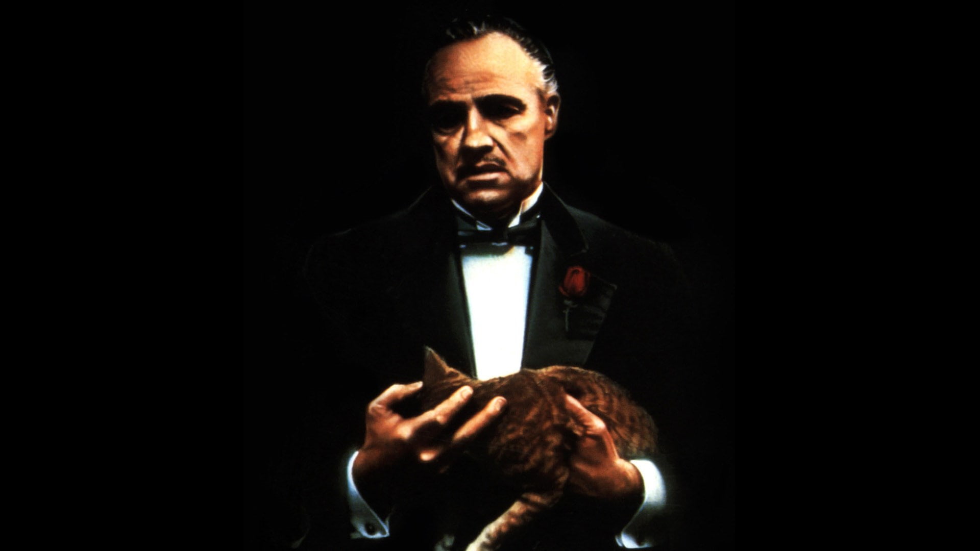 the godfather, 1080P, HD Wallpaper