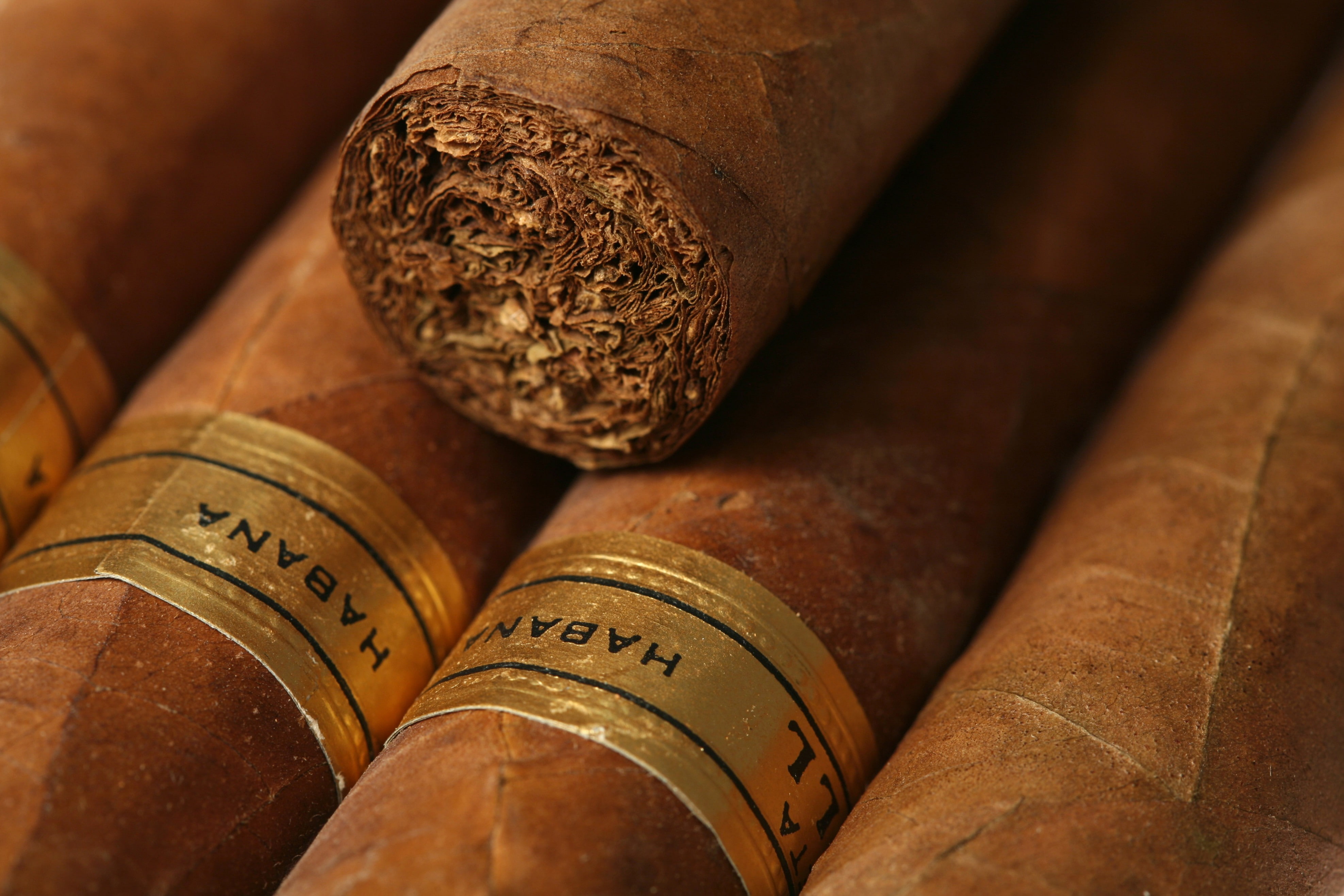 Habana, 4K, cigars, HD Wallpaper