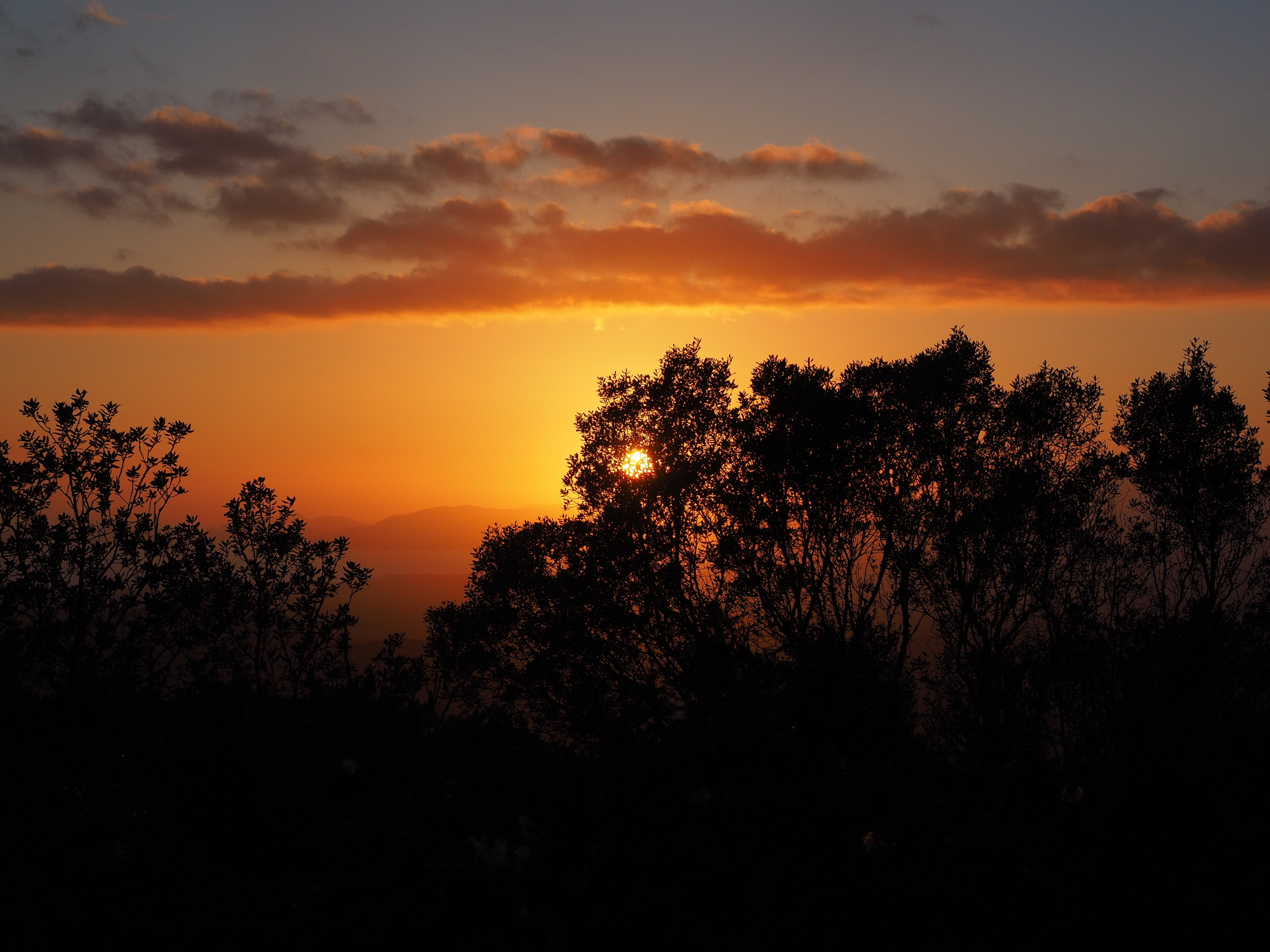 sun, nature, monastery cura, cloud - sky, orange Color, mallorca, mountains, romantic sky, tree, growth, cura, romantic, outdoors, clouds, non-urban scene, HD Wallpaper