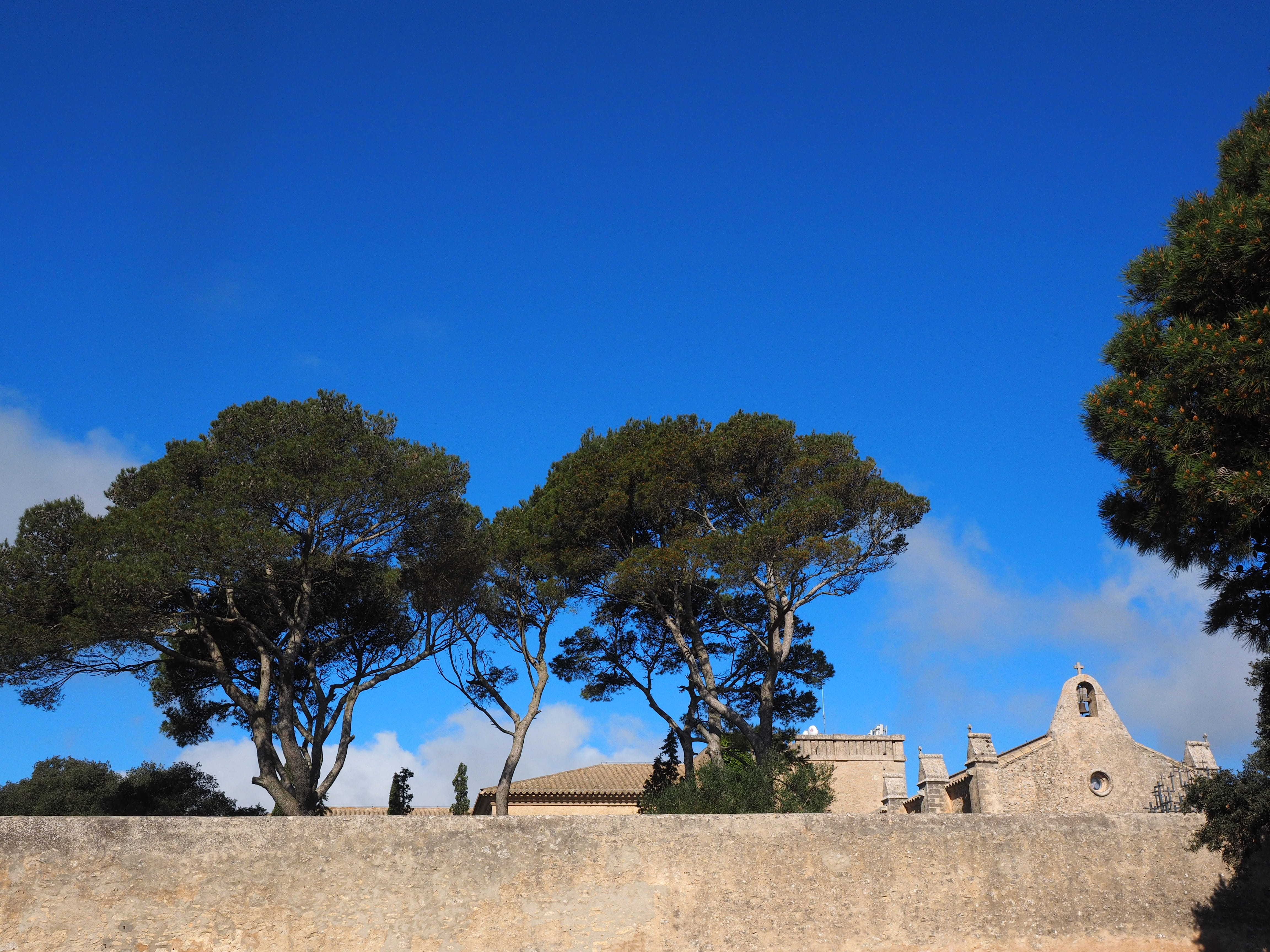 outdoors, franciscan monastery, scenics - nature, santuari de nostra senyora de cura, algaida, plant, house, sunlight, building, growth, clear sky, nature, HD Wallpaper