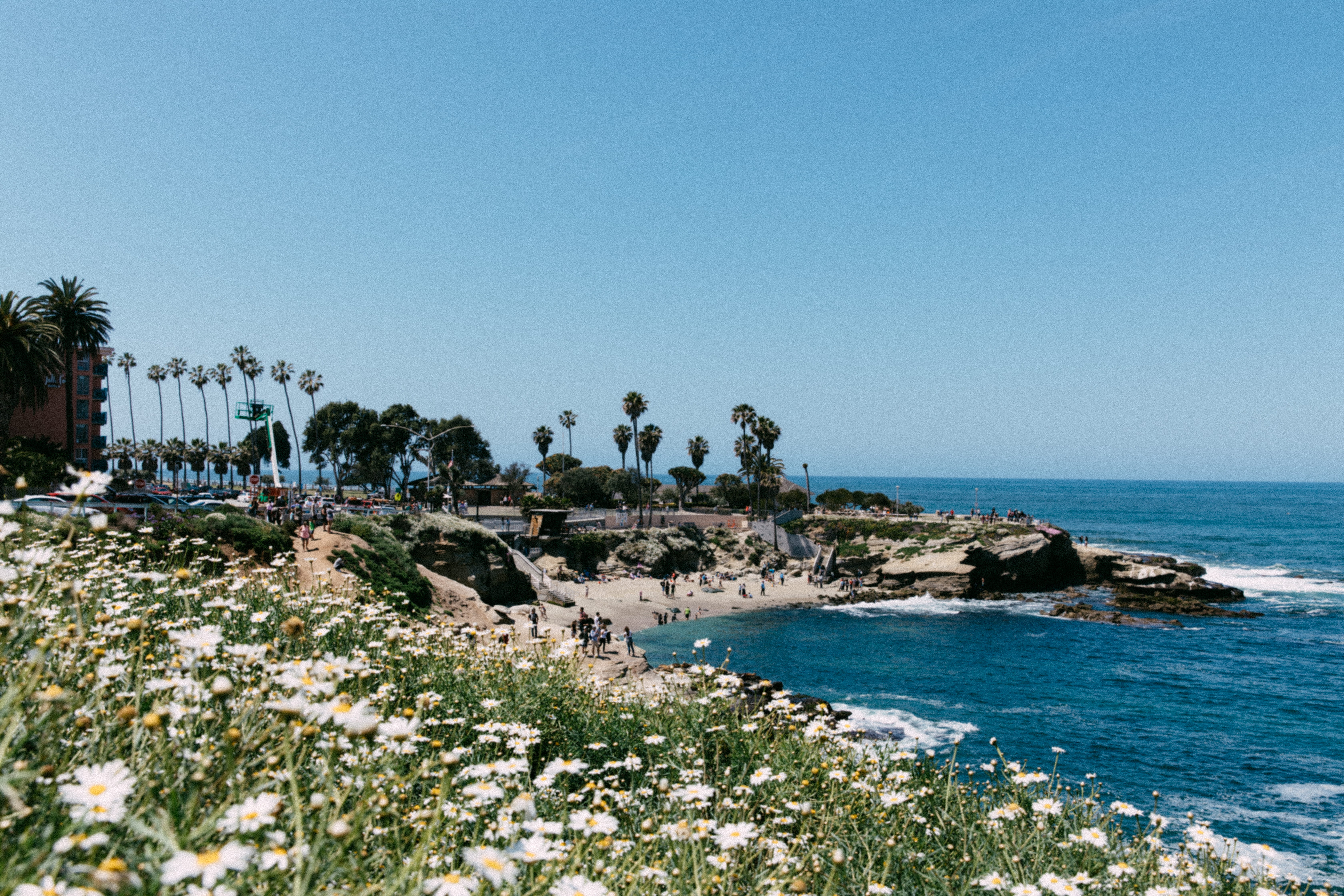 water, nature, horizon over water, beach, tranquil scene, sky, growth, summer, clear sky, scenics - nature, vintage, copy space, retro, san diego, day, HD Wallpaper