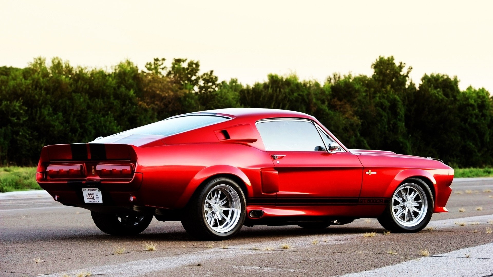 outdoors, 1080P, land vehicle, tree, retro styled, broken, Shelby GT500 Classic Recreation, city, nature, breaking, motor vehicle, car, red, Fastback, HD Wallpaper