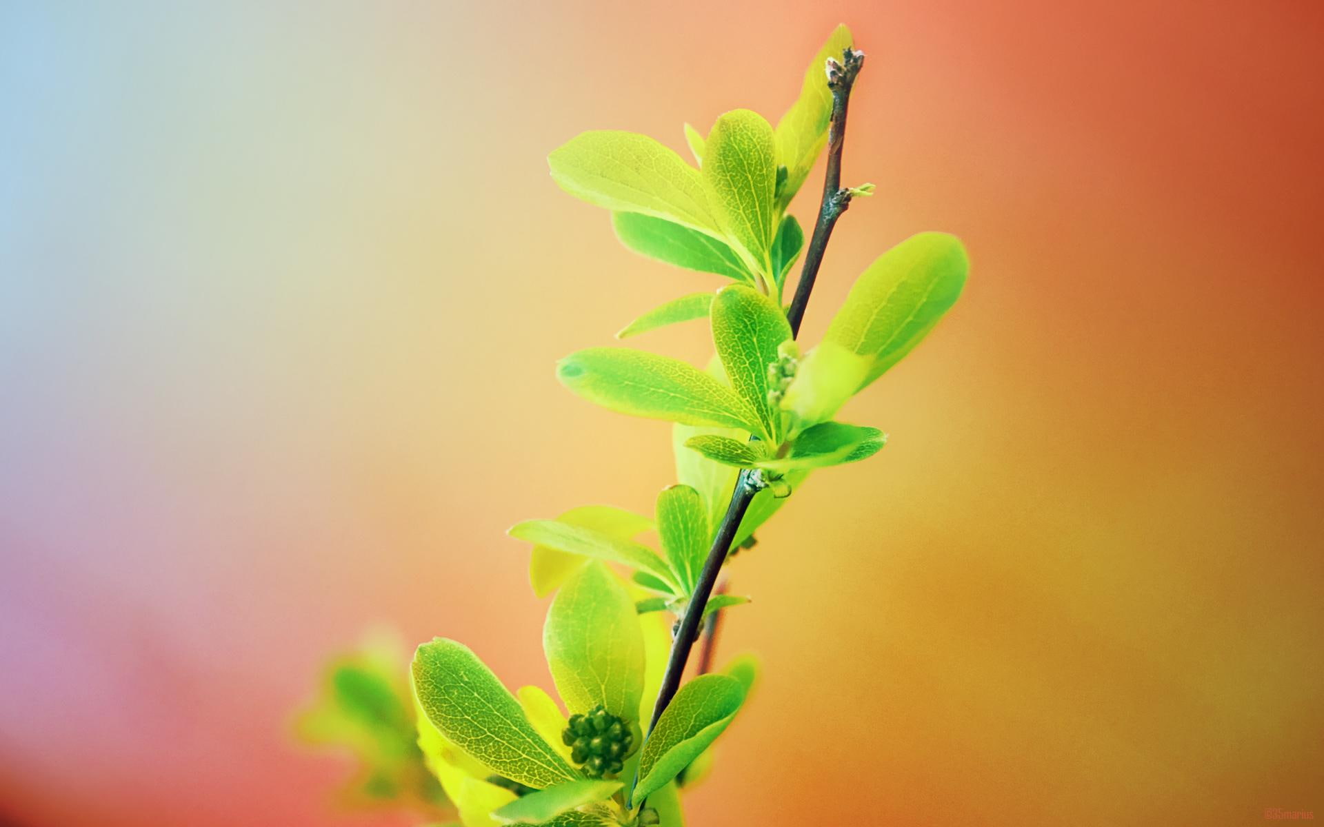 orange, summer, comes, 1080P, 3d and abstract, love, sun, from, HD Wallpaper