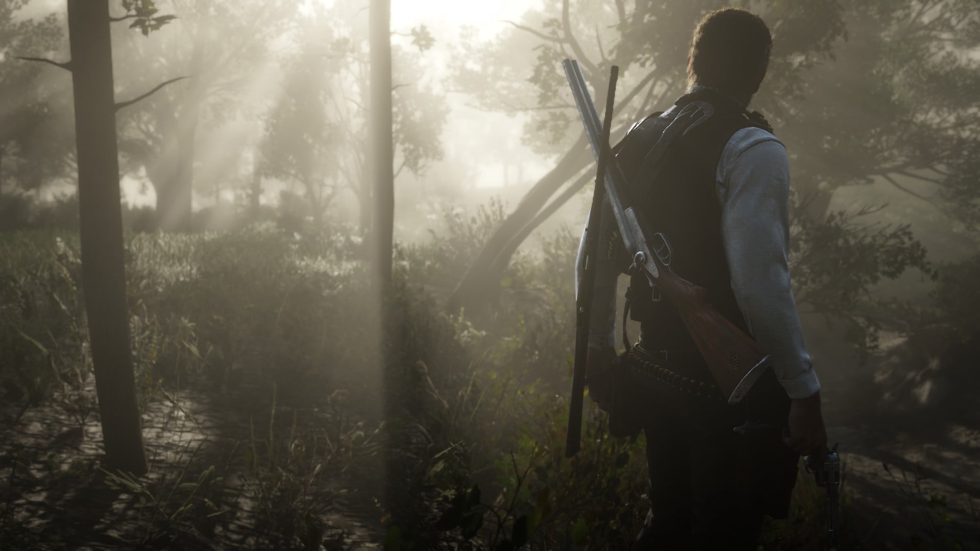 1080P, PCMR, Red Dead Redemption 2, screen shot, environment, HD Wallpaper