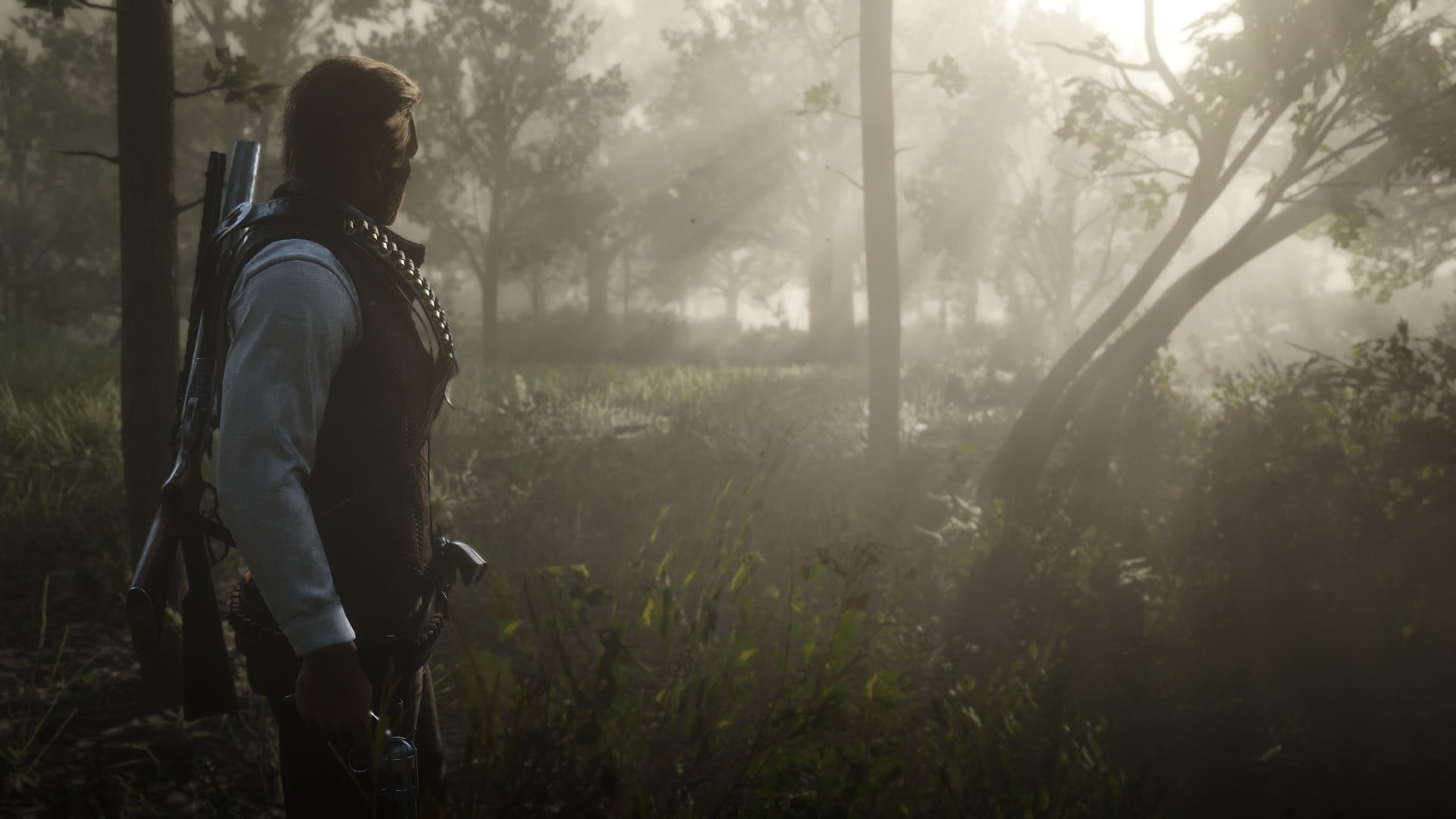 1080P, PCMR, screen shot, environment, Red Dead Redemption 2, HD Wallpaper