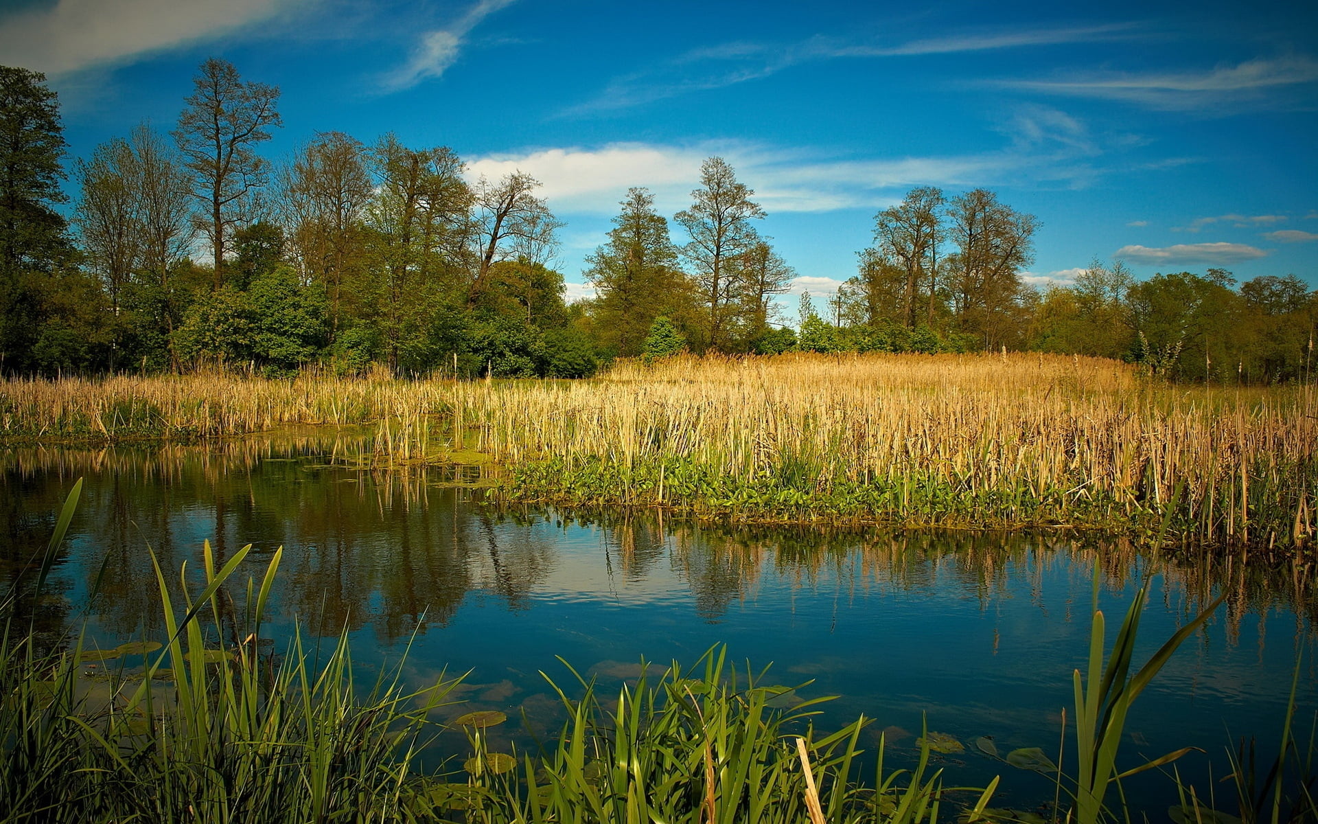 no People, meadow, river, tranquility, rural Scene, wetland, environment, beauty In Nature, cloud - sky, tranquil Scene, land, green Color, scenics, landscape, HD Wallpaper