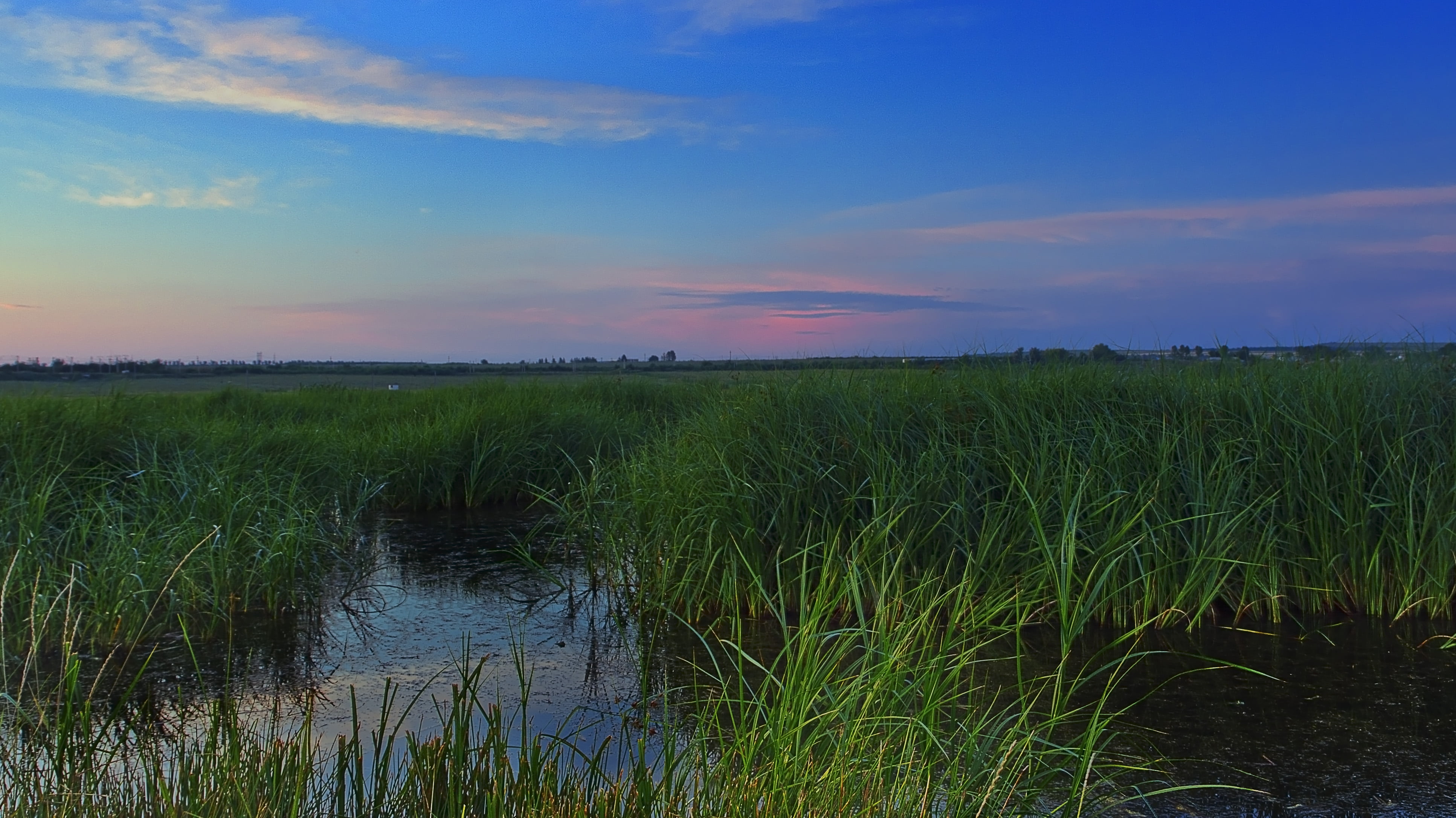 tranquil Scene, morning, meadow, sunset, beauty In Nature, agriculture, lake, nature, backgrounds, green, pond, blue, scenics, river, no people, forest, HD Wallpaper