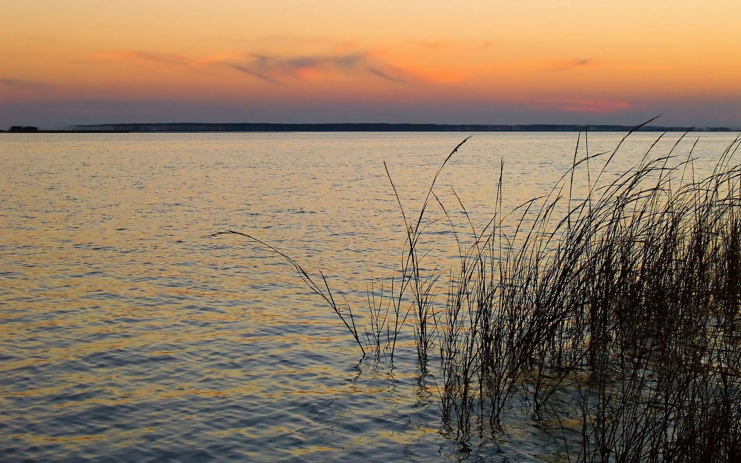 green, outdoors, tranquil Scene, horizon, sunlight, season, beach, summer, lake, romantic sky, orange Color, morning, scenics, tranquility, sunset, scenics - nature, HD Wallpaper