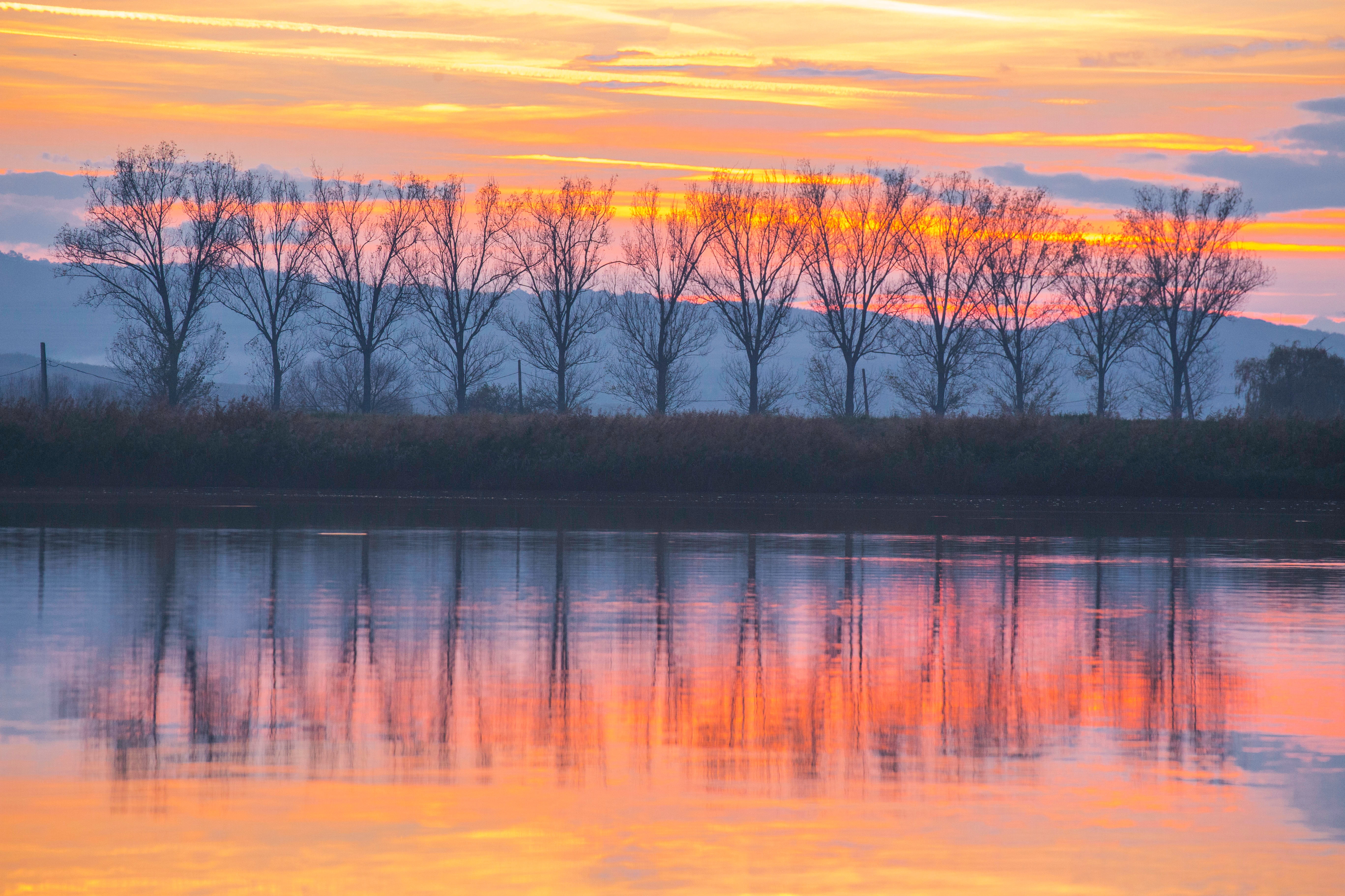 tranquil Scene, lake, red, bare, no People, bare tree, orange Color, forest, idyllic, pond, sky, scenics, river, sun, trees, reed - Grass Family, twilight, HD Wallpaper
