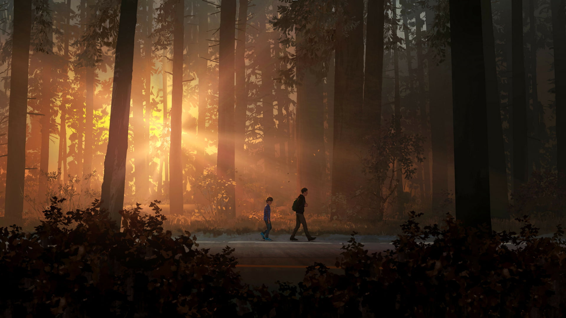 1080P, Life is Strange 2, Square Enix, HD Wallpaper