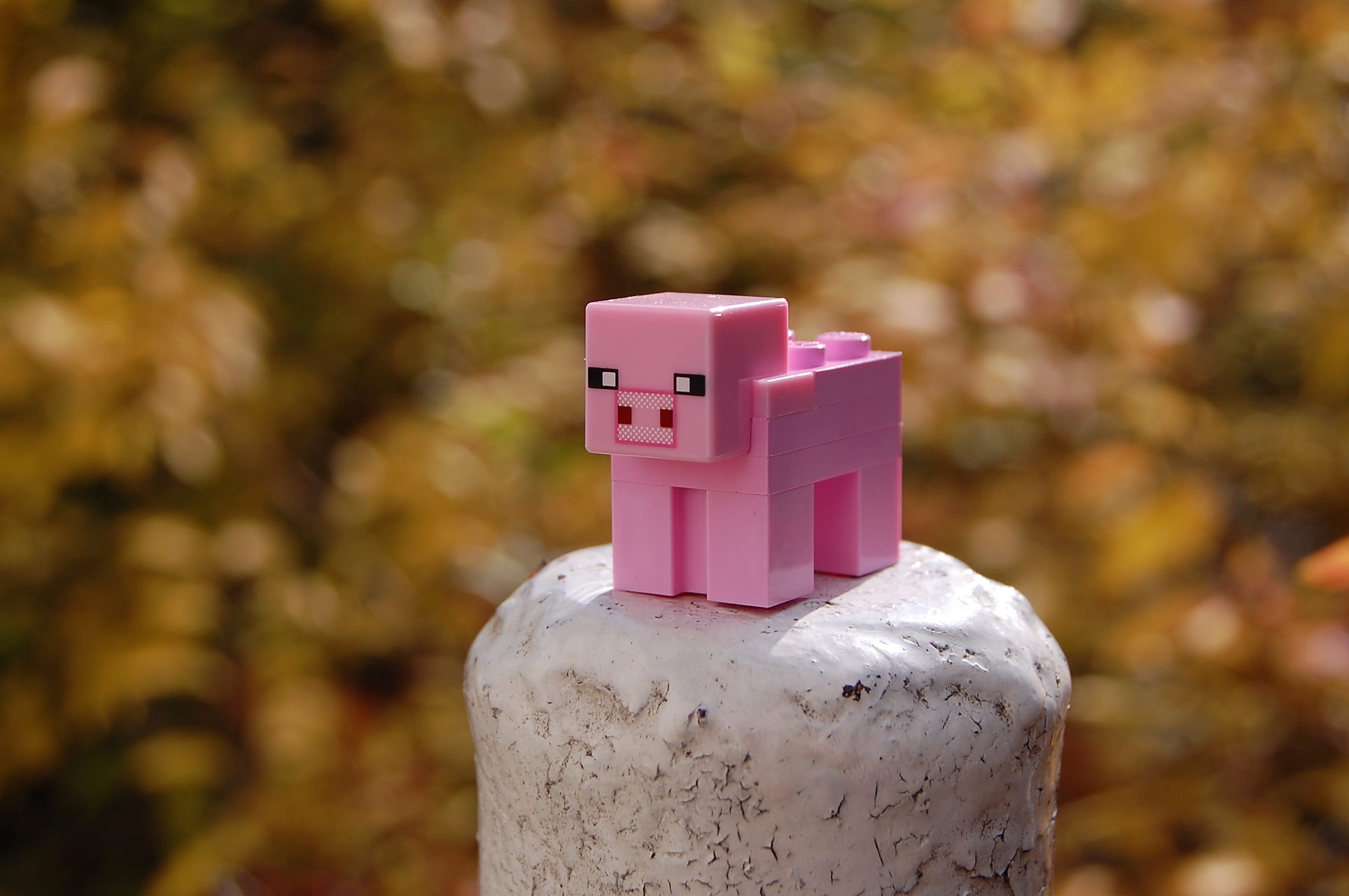 creativity, still life, focus, toy, pig, human representation, copy space, focus on foreground, representation, art and craft, outdoors, photo, close-up, HD Wallpaper