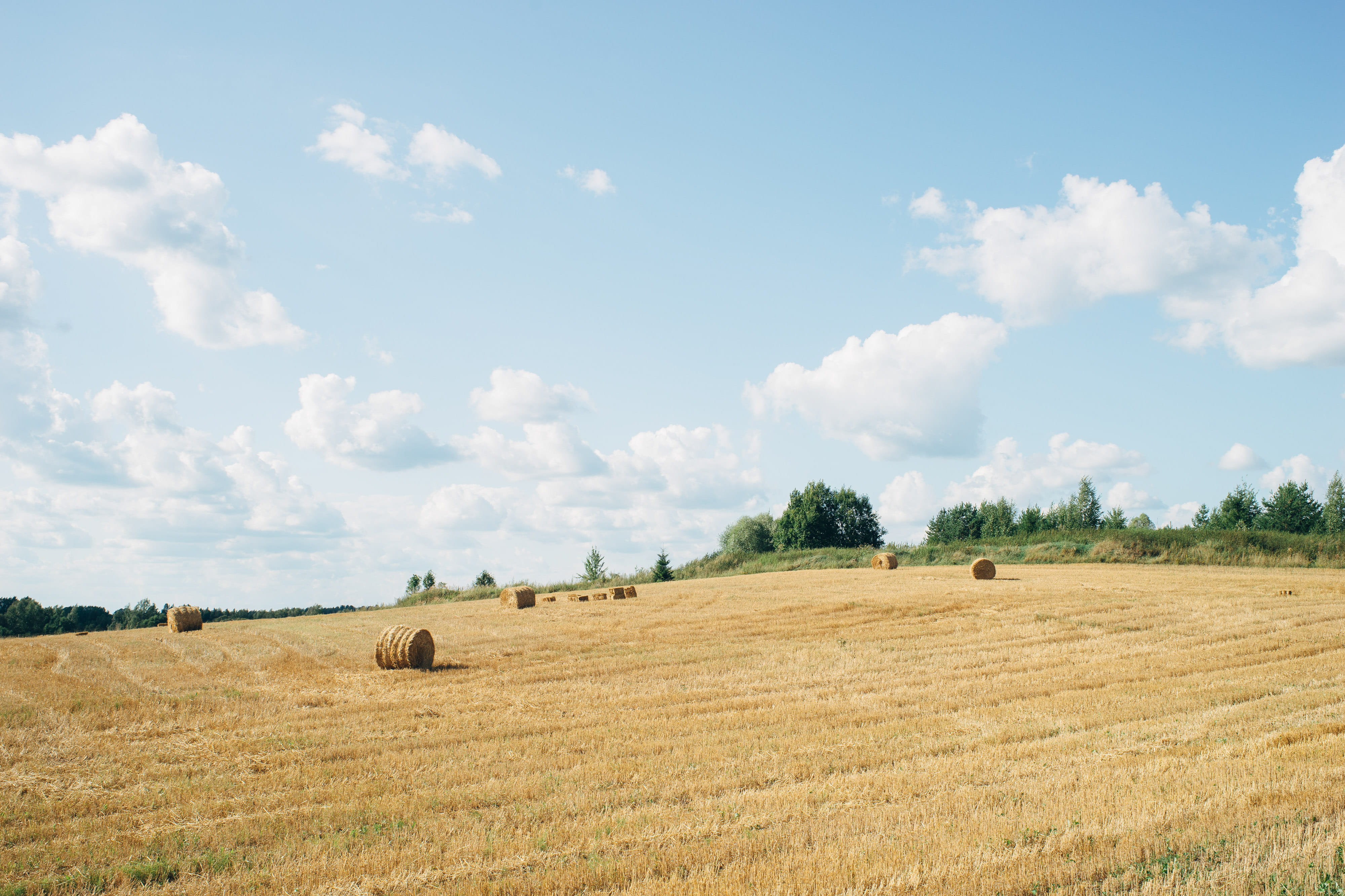 sky, land, season, plant, agriculture, harvesting, beautiful, countryside, straw, natural, blue, sun, cereal, tranquil scene, industry, crop, scenic, farmland, HD Wallpaper