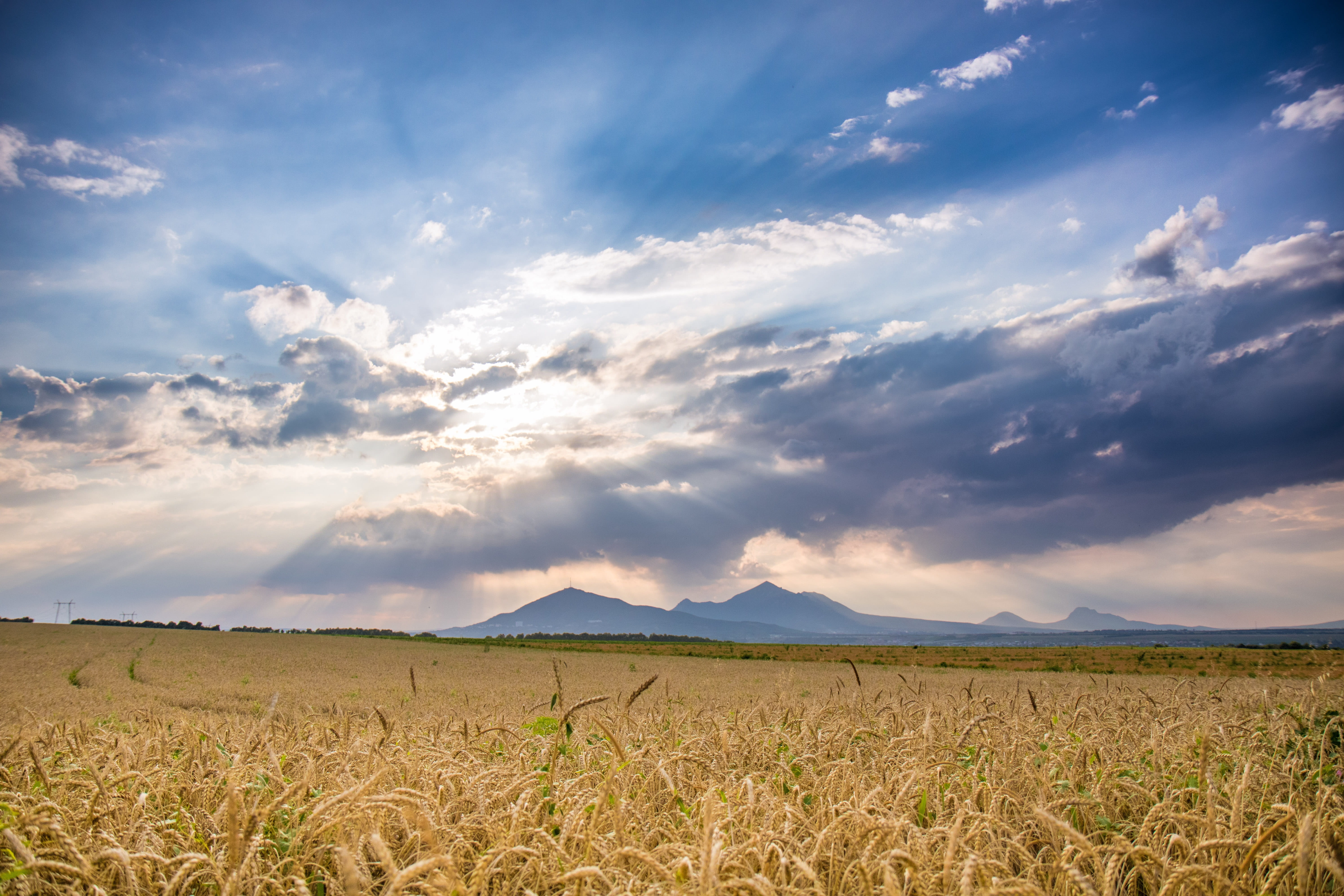 cloudscape, no People, sky, day, horizon, rural Scene, crop, scenics, 5K, tranquility, idyllic, land, beauty In Nature, rice field, meadow, scenics - nature, HD Wallpaper