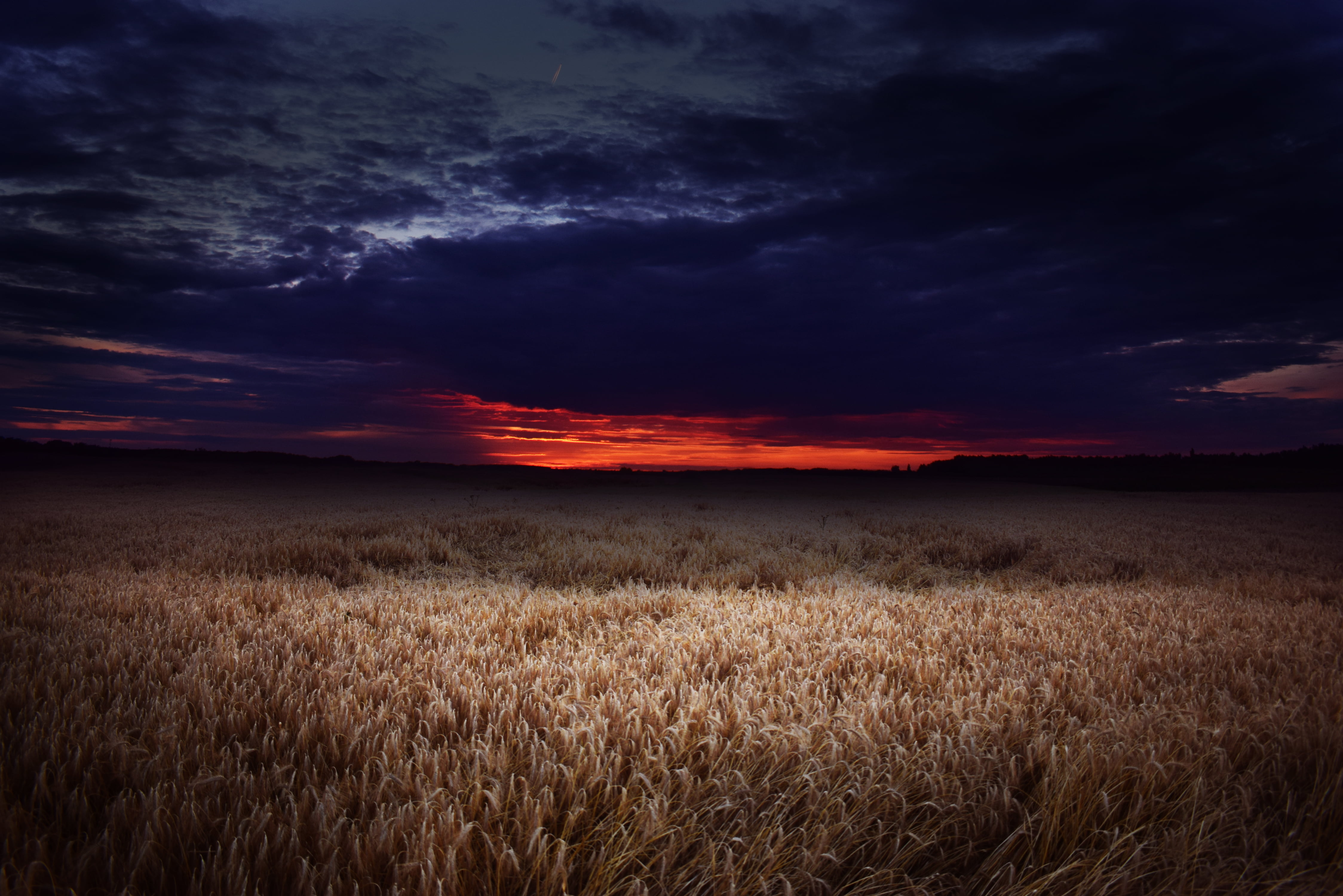 cloud - sky, 4K, agriculture, non-urban scene, scenics - nature, no people, clouds, outdoors, plant, brown, growth, environment, rural scene, crop, nature, HD Wallpaper