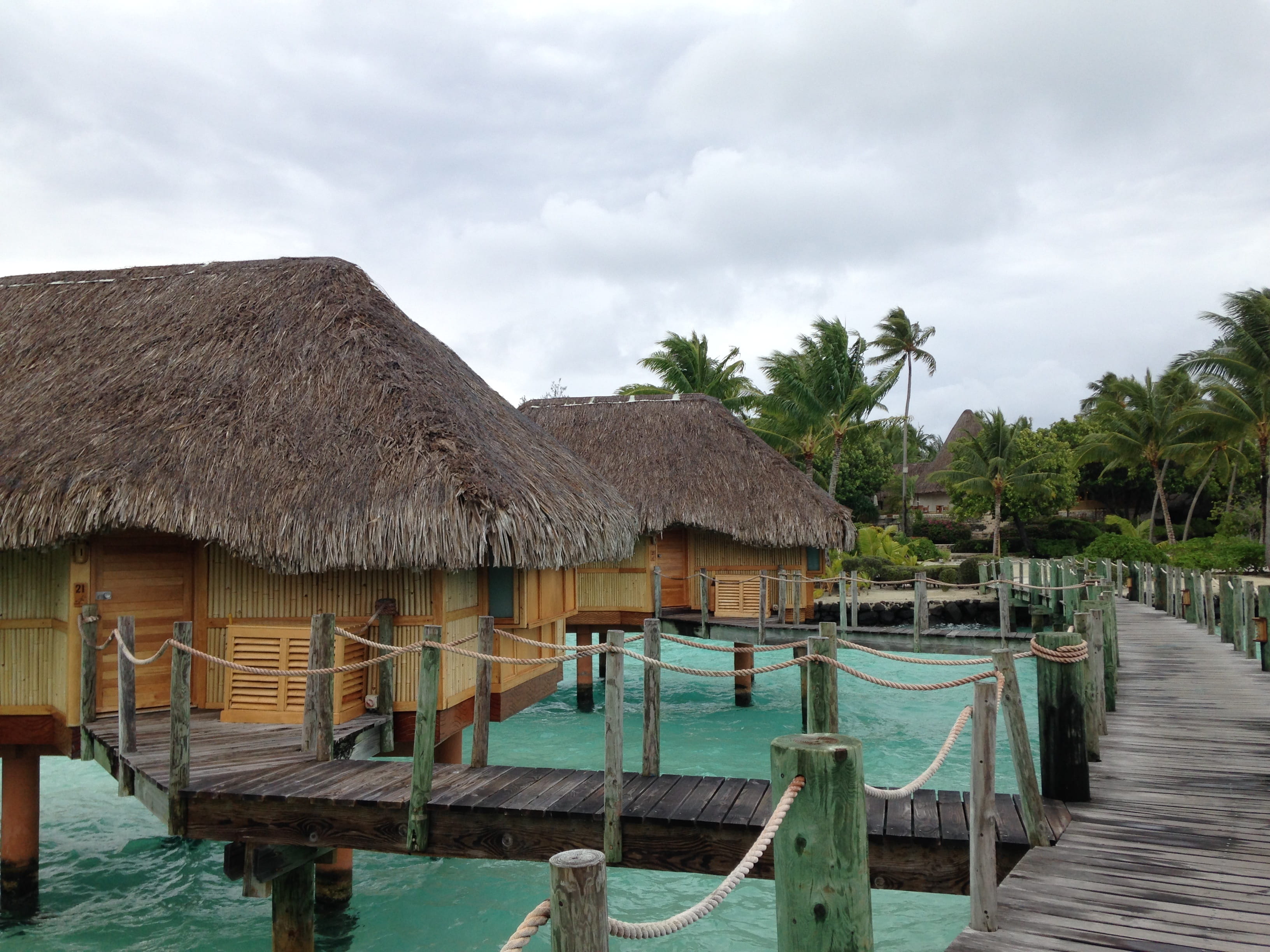 landscape, tree, 2K, cloud - sky, transparent, no people, roof, nature, Sea, stilt house, house, hut, building exterior, water, palm tree, sky, wood - material, HD Wallpaper