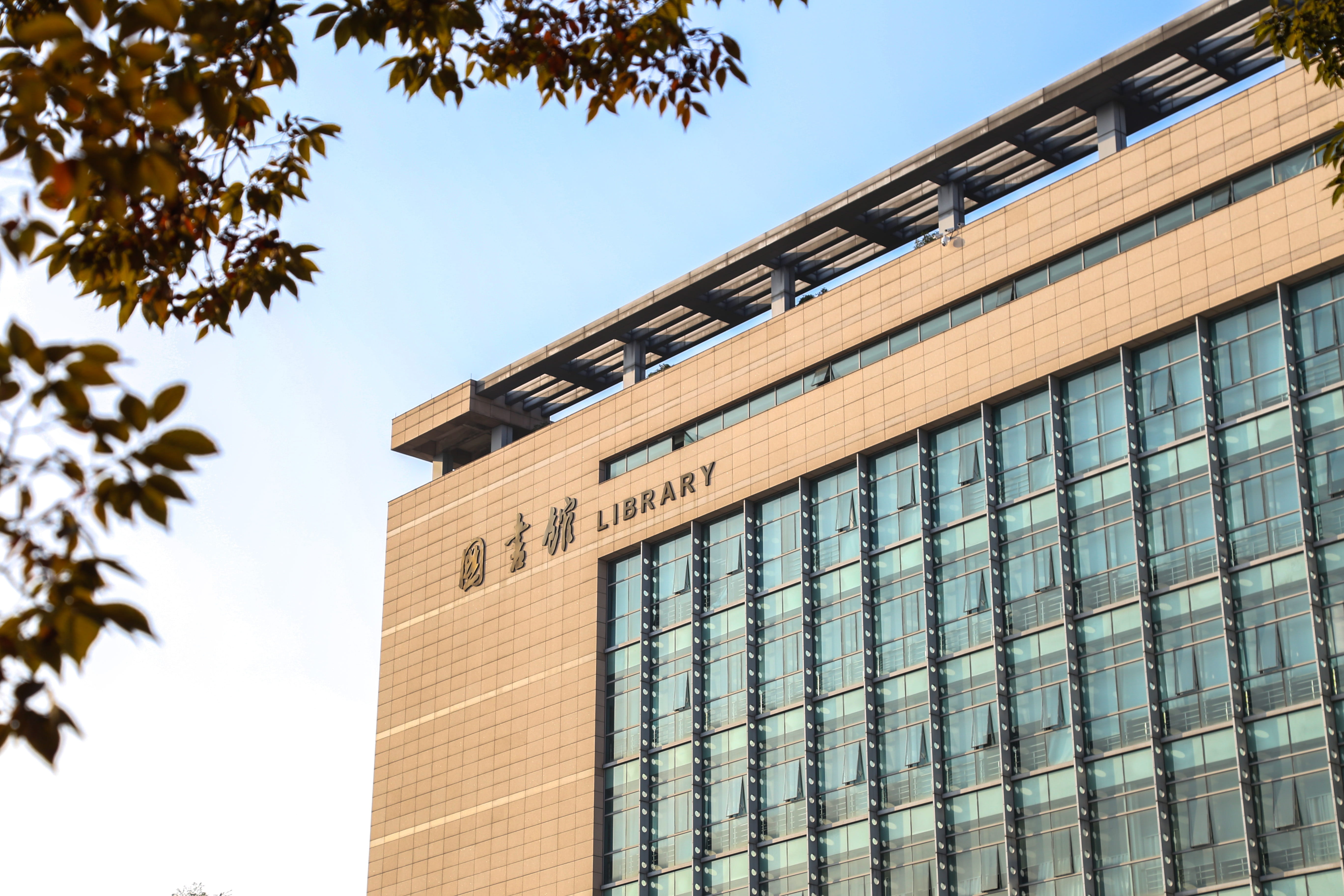growth, Clear, architecture, china, hangzhou, day, low angle view, built structure, Library, city, business, window, no people, building exterior, branch, HD Wallpaper