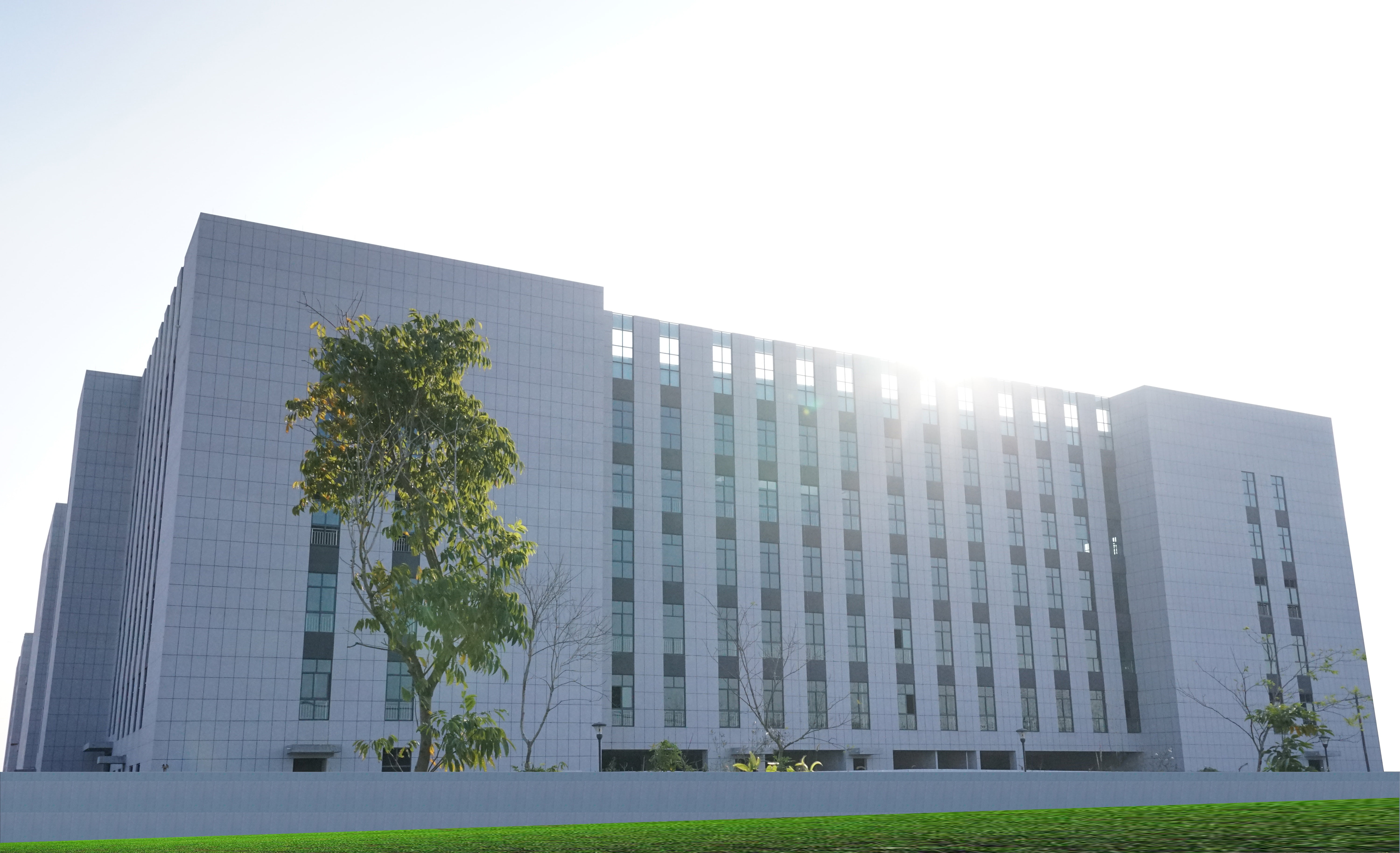 zhejiang, sun, city, modern, office, 5K, tree, preparation, architecture, nature, business, office building exterior, skyscraper, medicine, no people, HD Wallpaper