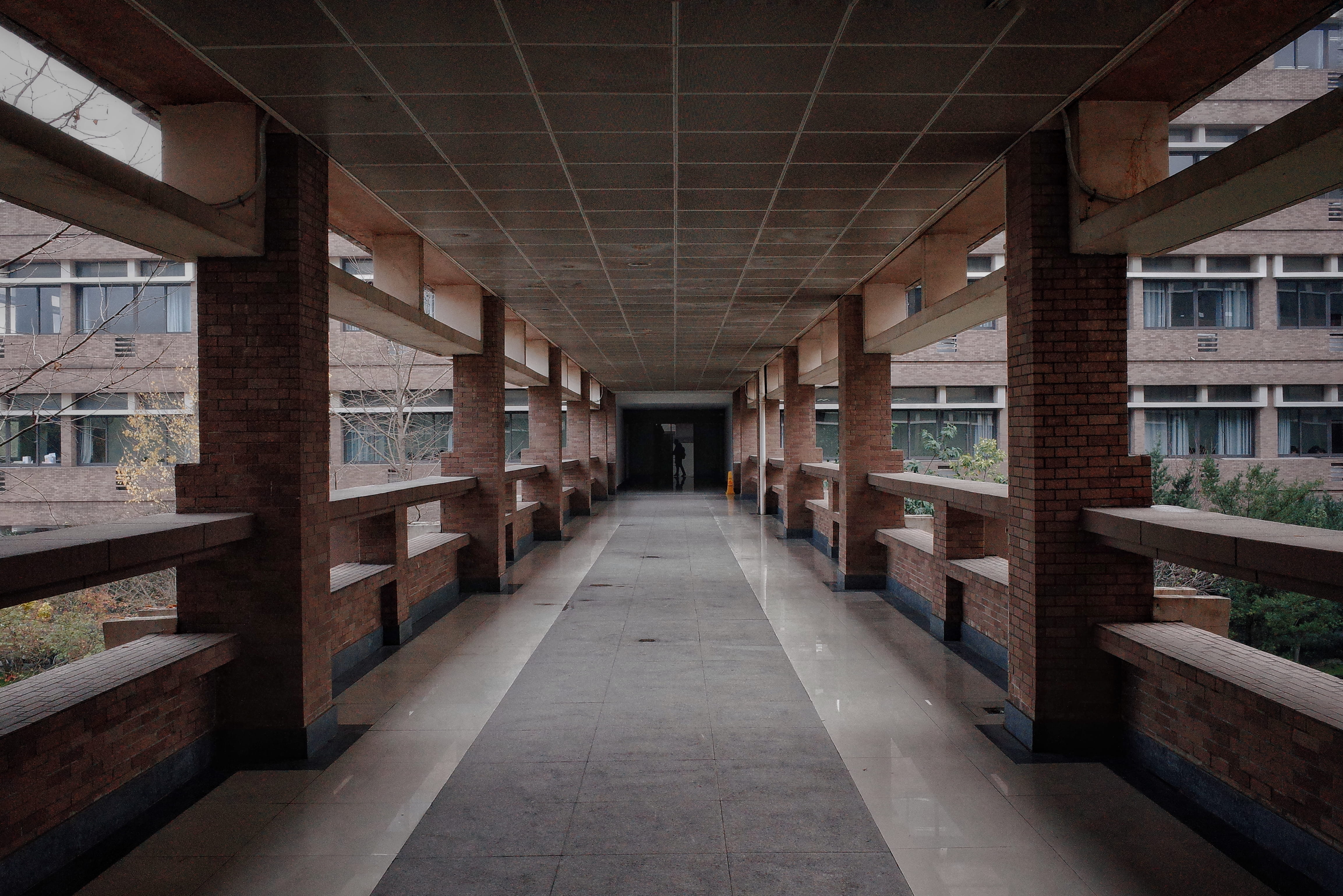 china, wood, hardwood, ceiling, corridor, home decor, empty, zhejiang university, arcade, architectural column, human, crypt, building, hallway, plywood, HD Wallpaper