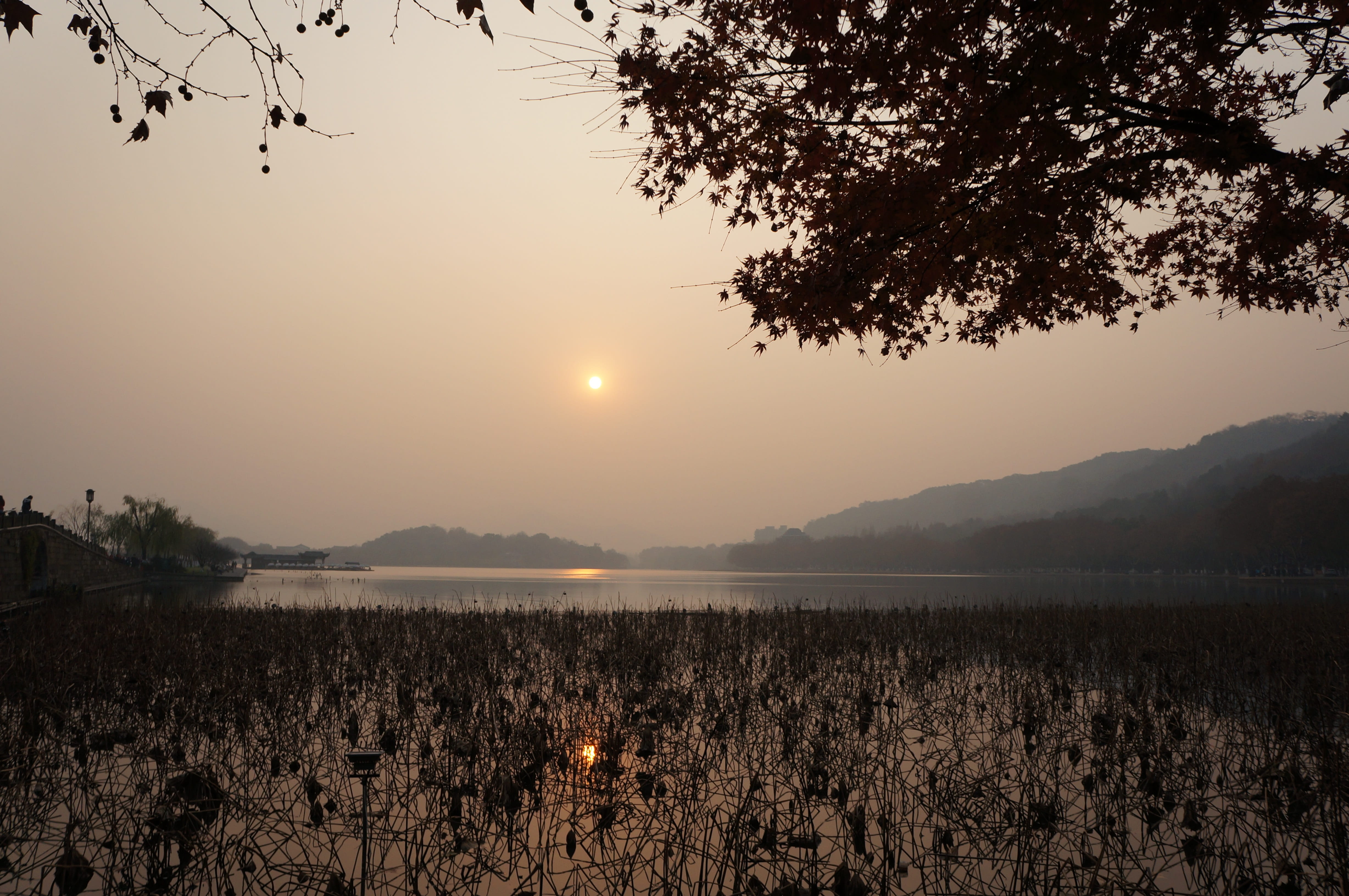 tree, environment, beauty in nature, sun, sunset, reflection, water, xihu, plant, outdoors, lake, silhouette, china, sky, scenics - nature, no people, travel, HD Wallpaper