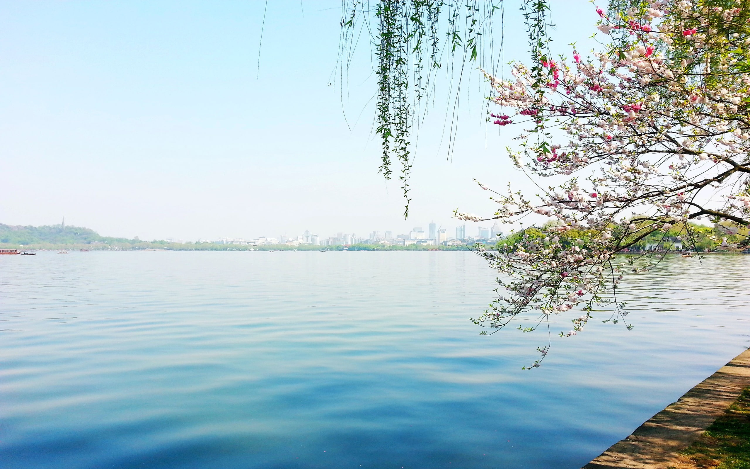 growth, no people, g, branch, day, reflection, 2K, tranquil scene, hd, tree, outdoors, hangzhou, plant, beauty in nature, scenics - nature, HD Wallpaper