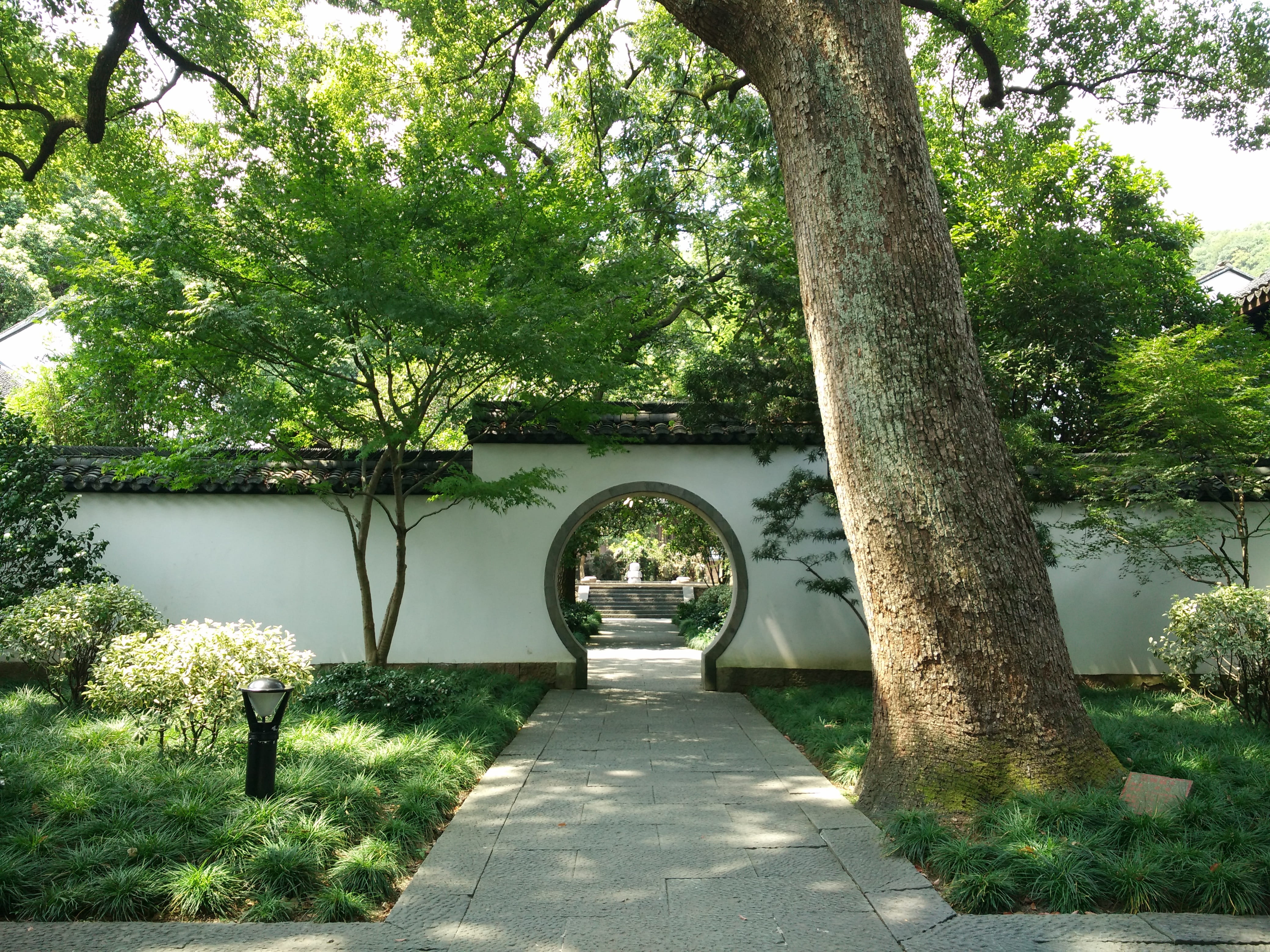 arch, day, bridge - man made structure, architecture, tree, park, beauty in nature, Courtyard, Temple, tree trunk, trunk, built structure, the way forward, HD Wallpaper