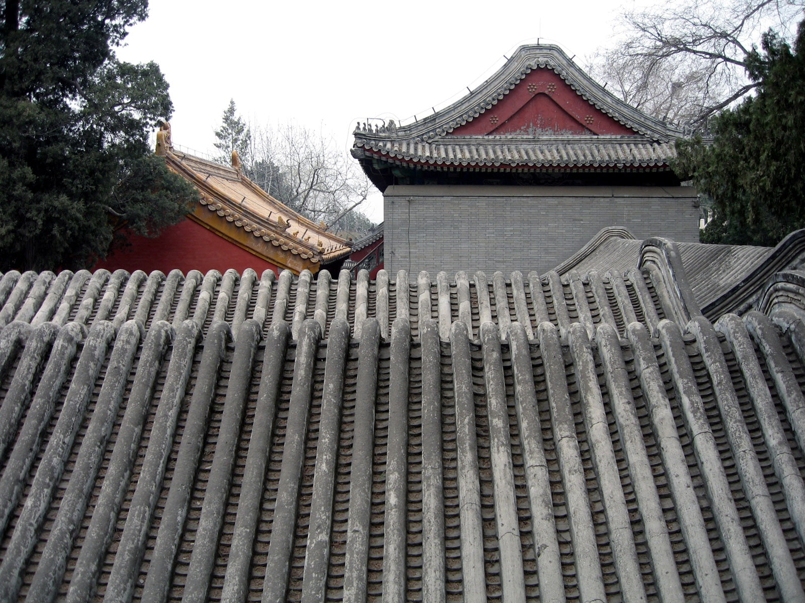 old, tourism, house, ancient, cultures, buddhism, roofing, japanese Culture, japan, tree, travel Destinations, chinese Culture, roof Tile, roof, china, HD Wallpaper