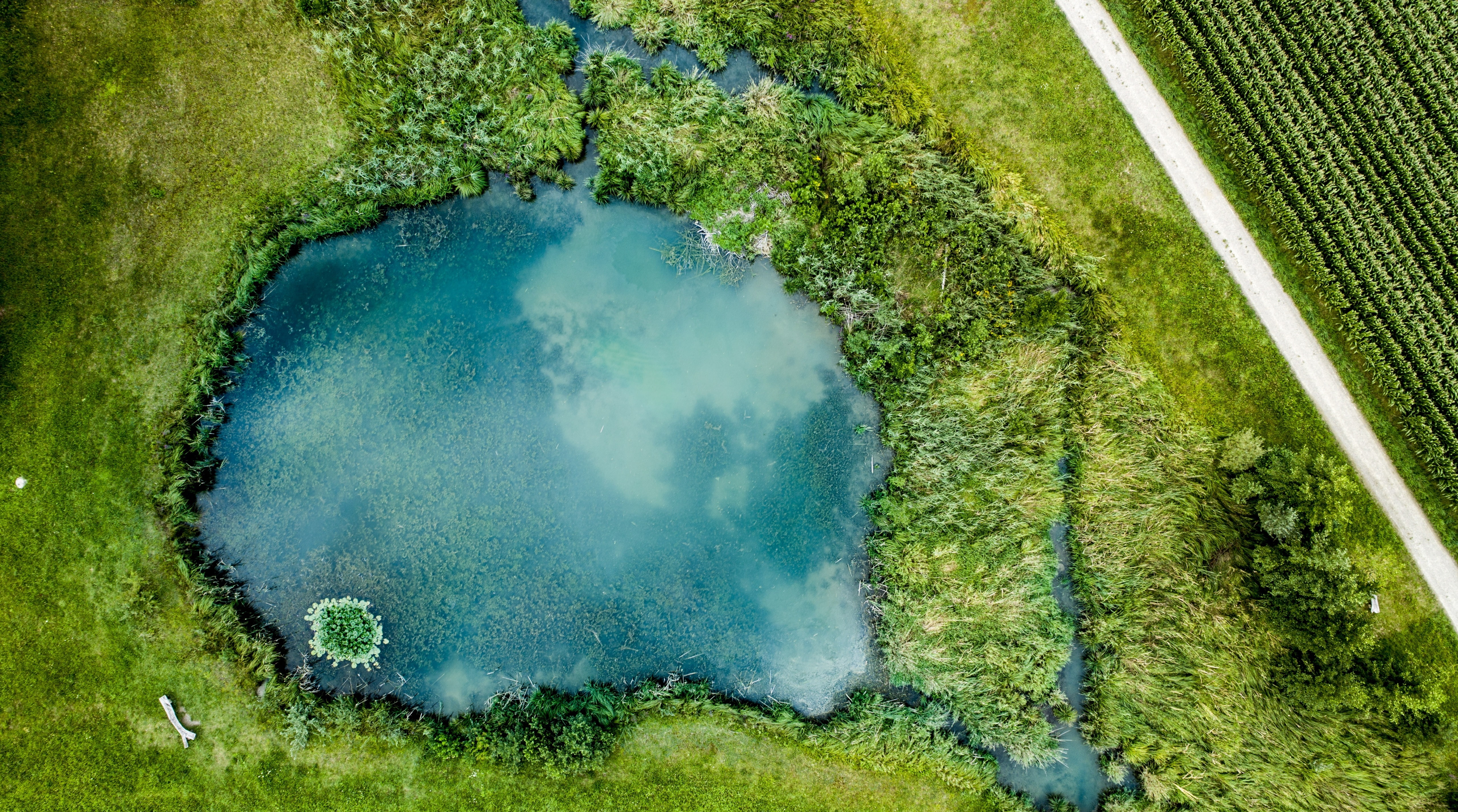 beauty in nature, hot spring, DronePicture, Water, grass, visit, plant, DronePhoto, field, 5K, Landscape, clearwater, day, Road, Awesome, swiss, DronePhotography, HD Wallpaper