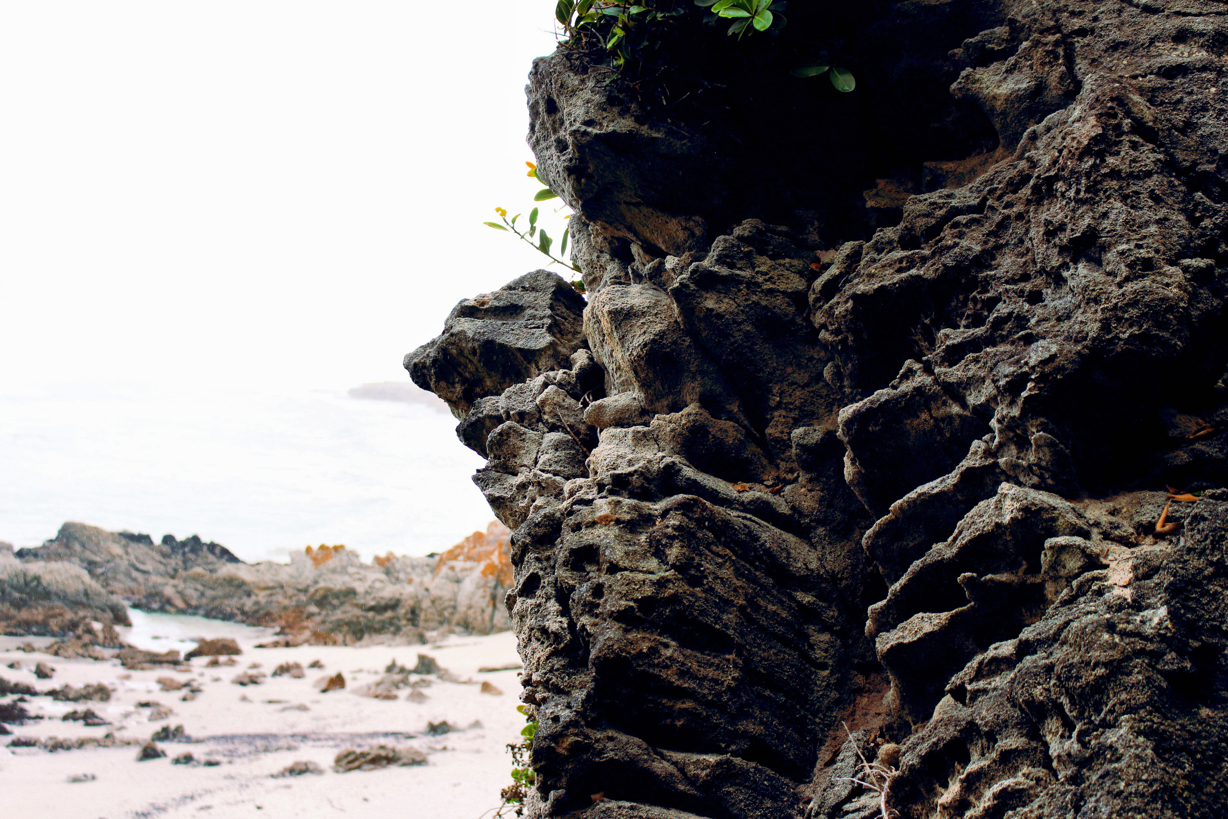 rock formation, outdoors, land, de kelders, south africa, beach, sky, rough, tree, sea, rocks, no people, boulders, explore, solid, 5K, beauty in nature, HD Wallpaper