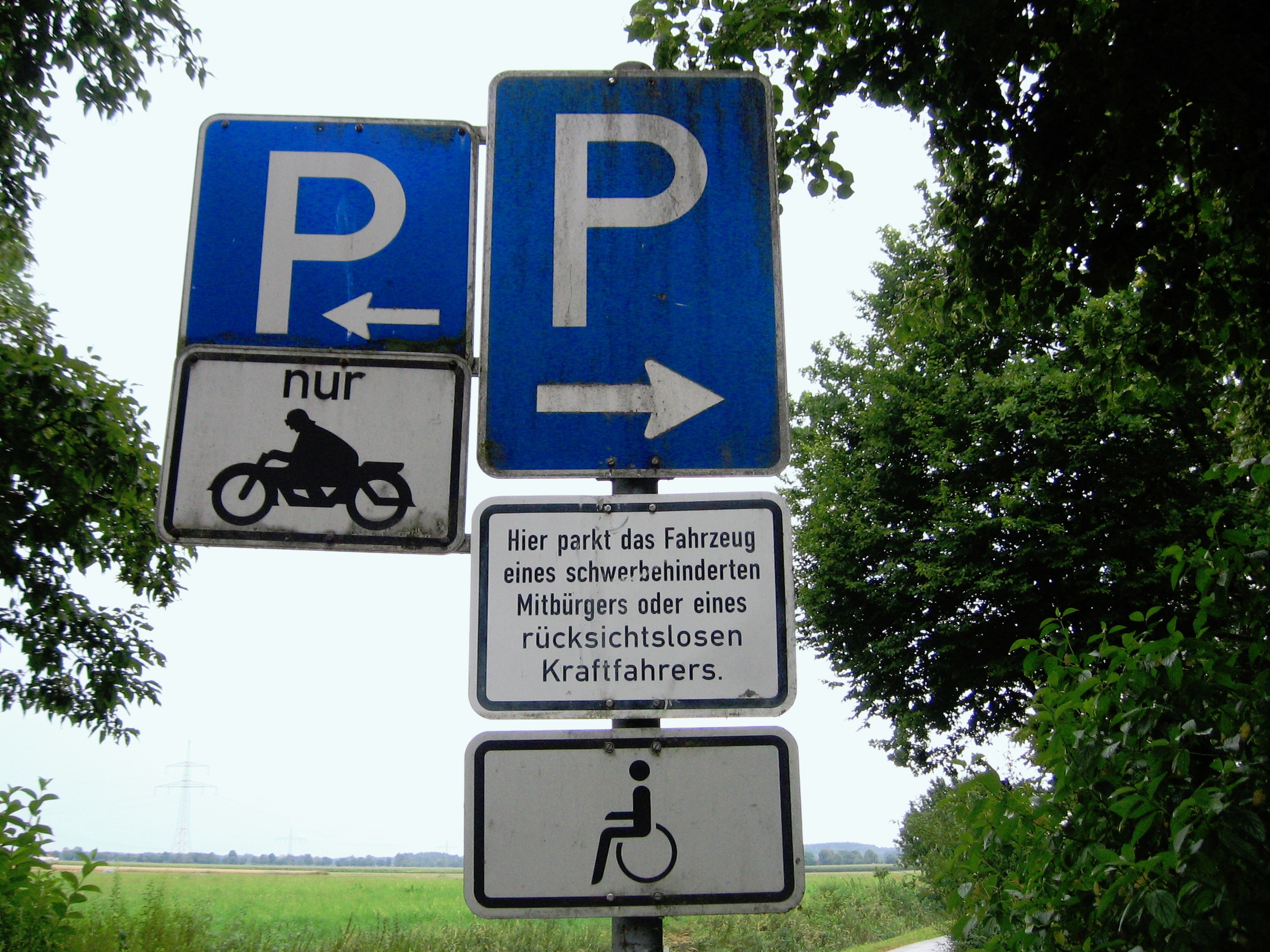 tree, message, communication, low angle view, sign, parking, text, disabled, consideration, day, information, no people, wheelchair, western script, plant, HD Wallpaper